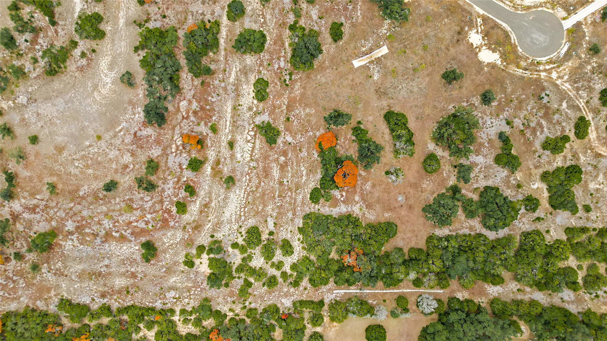 833 Bell Canyon Way, Bulverde, TX 78163