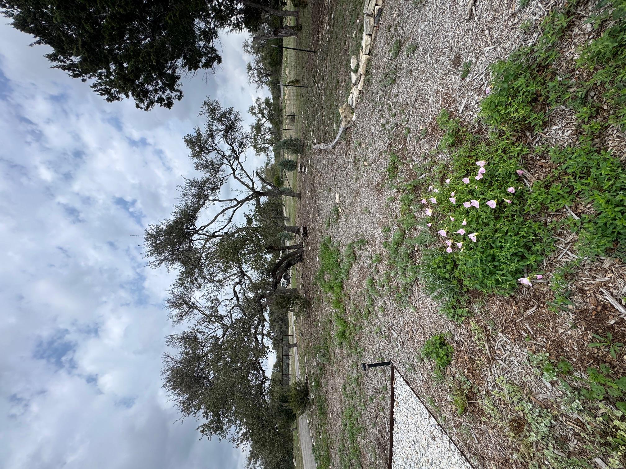 11605 Fitzhugh Rd, Austin, TX 78736