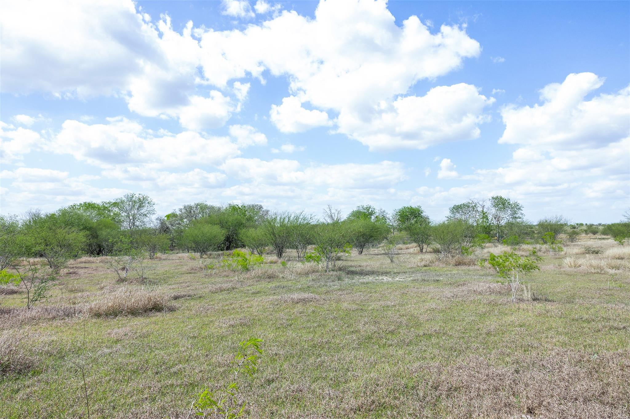 22.22 Acres Concrete Edgar Rd, Cuero, TX 77954