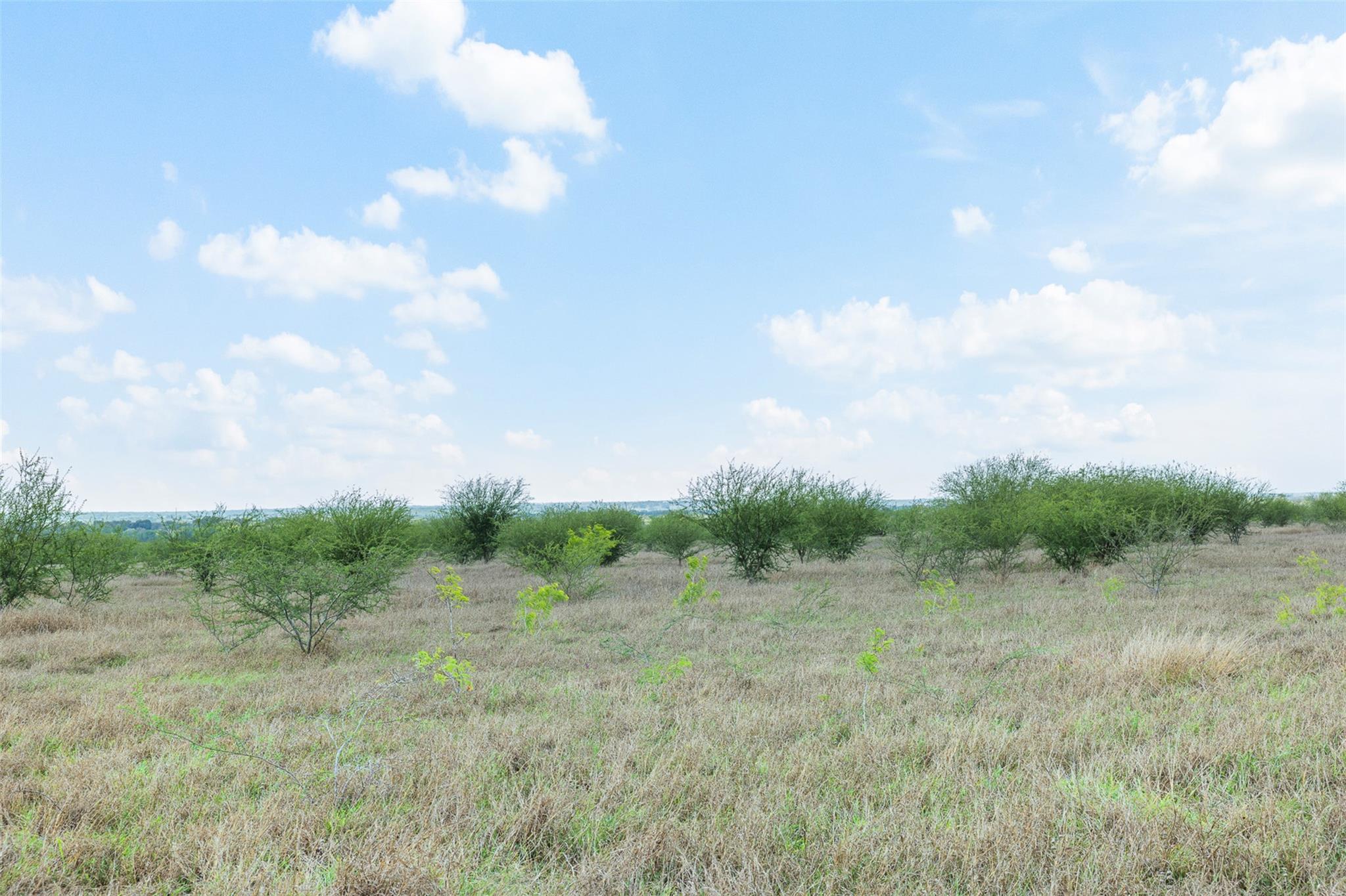 20.02 Acres Concrete Edgar Rd, Cuero, TX 77954