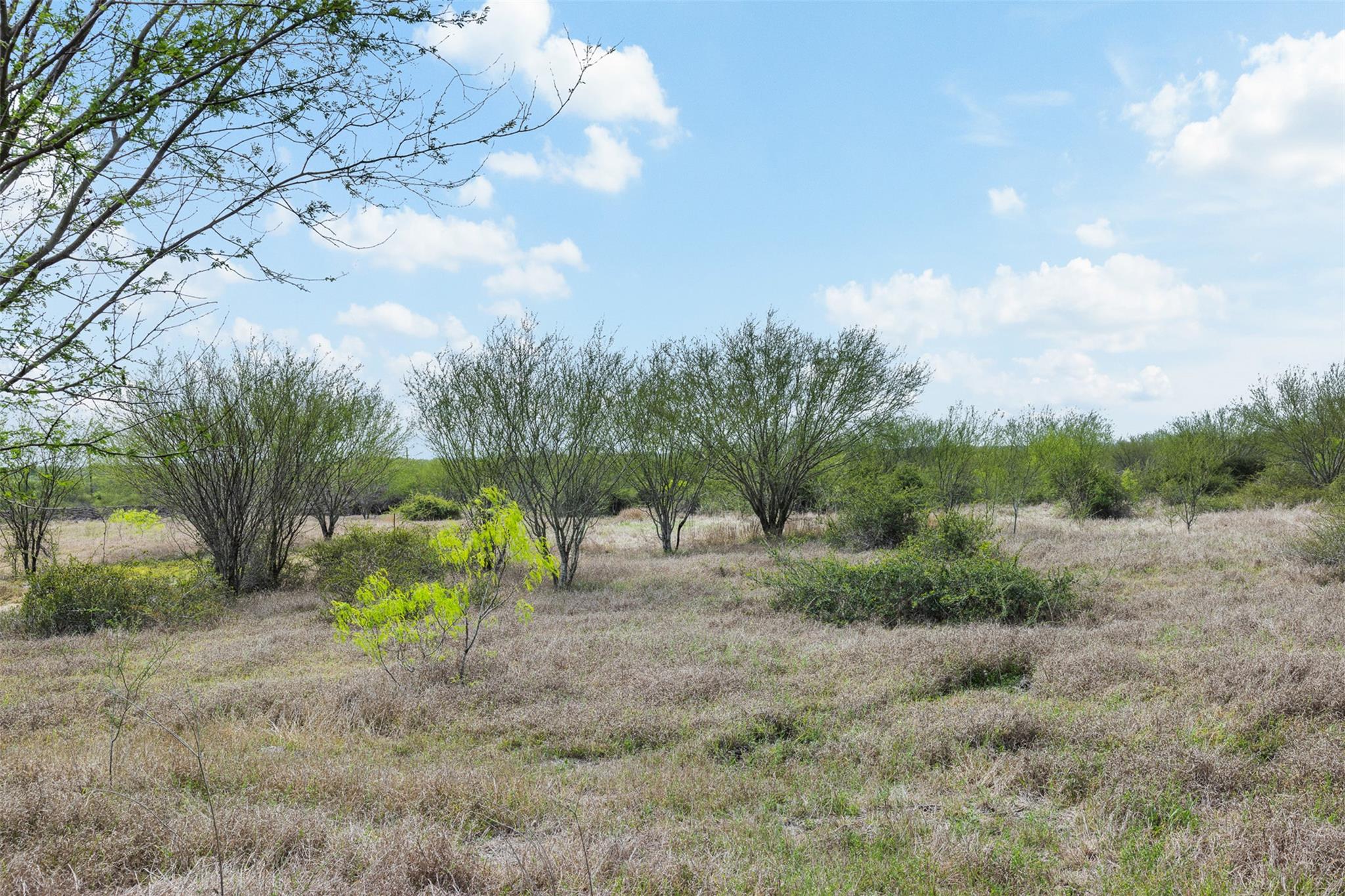 20.02 Acres Concrete Edgar Rd, Cuero, TX 77954