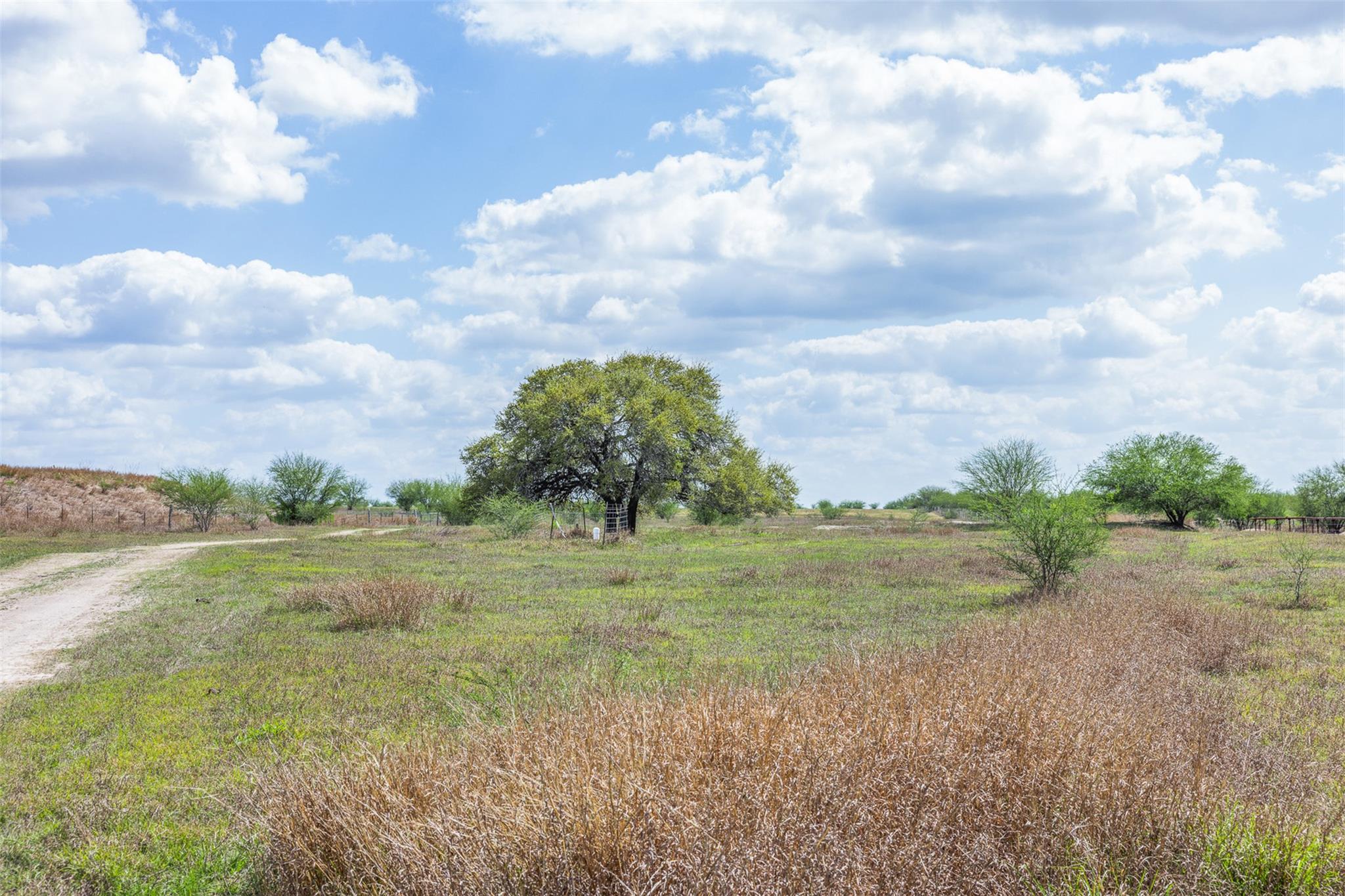22.22 Acres Concrete Edgar Rd, Cuero, TX 77954