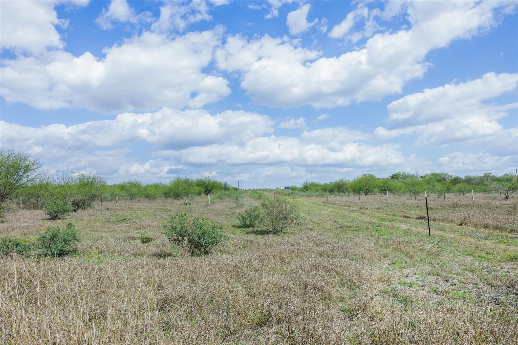 20.02 Acres Concrete Edgar Rd, Cuero, TX 77954