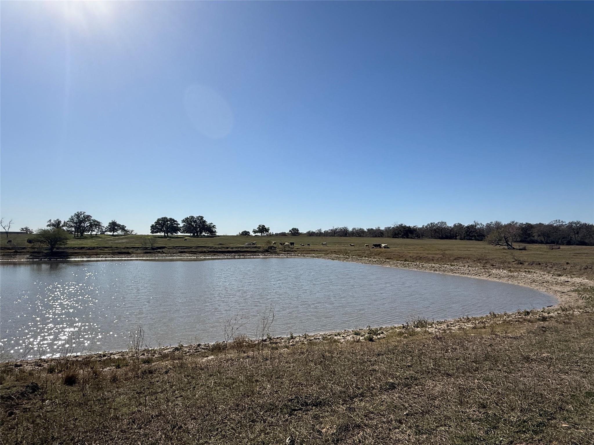 Tract A Fm 795, Gonzales, TX 78629