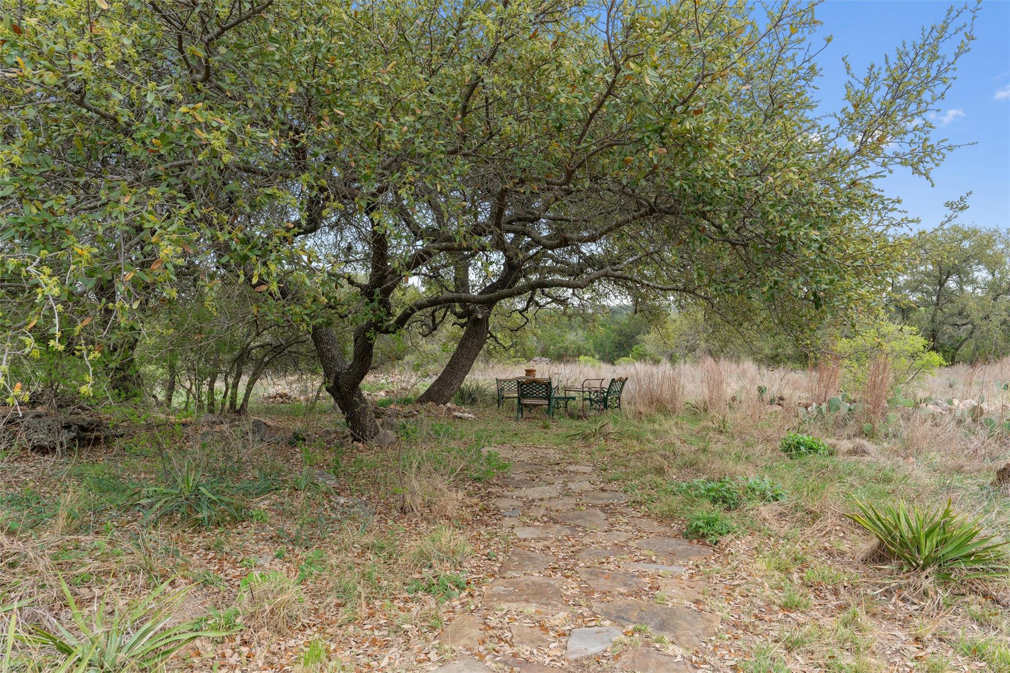 404 Skyline Rd, Georgetown, TX 78628