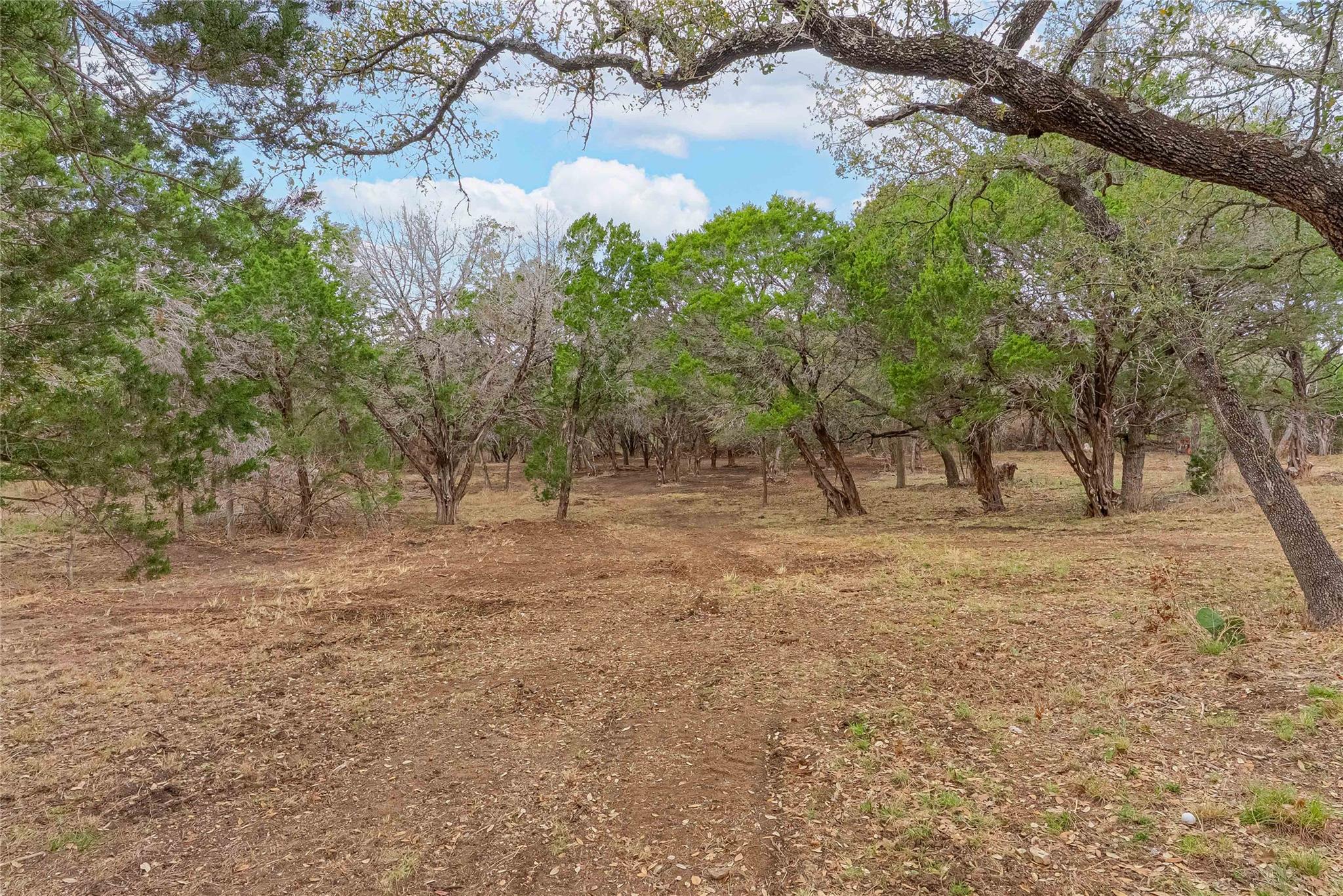 9220 County Road 272, Bertram, TX 78605