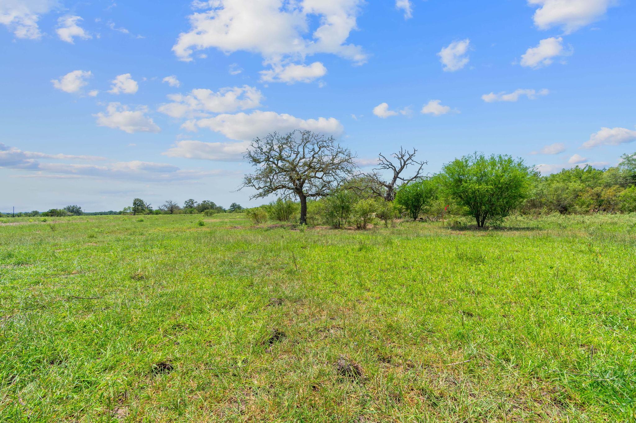 Lot 21 County Road 402, Flatonia, TX 78632