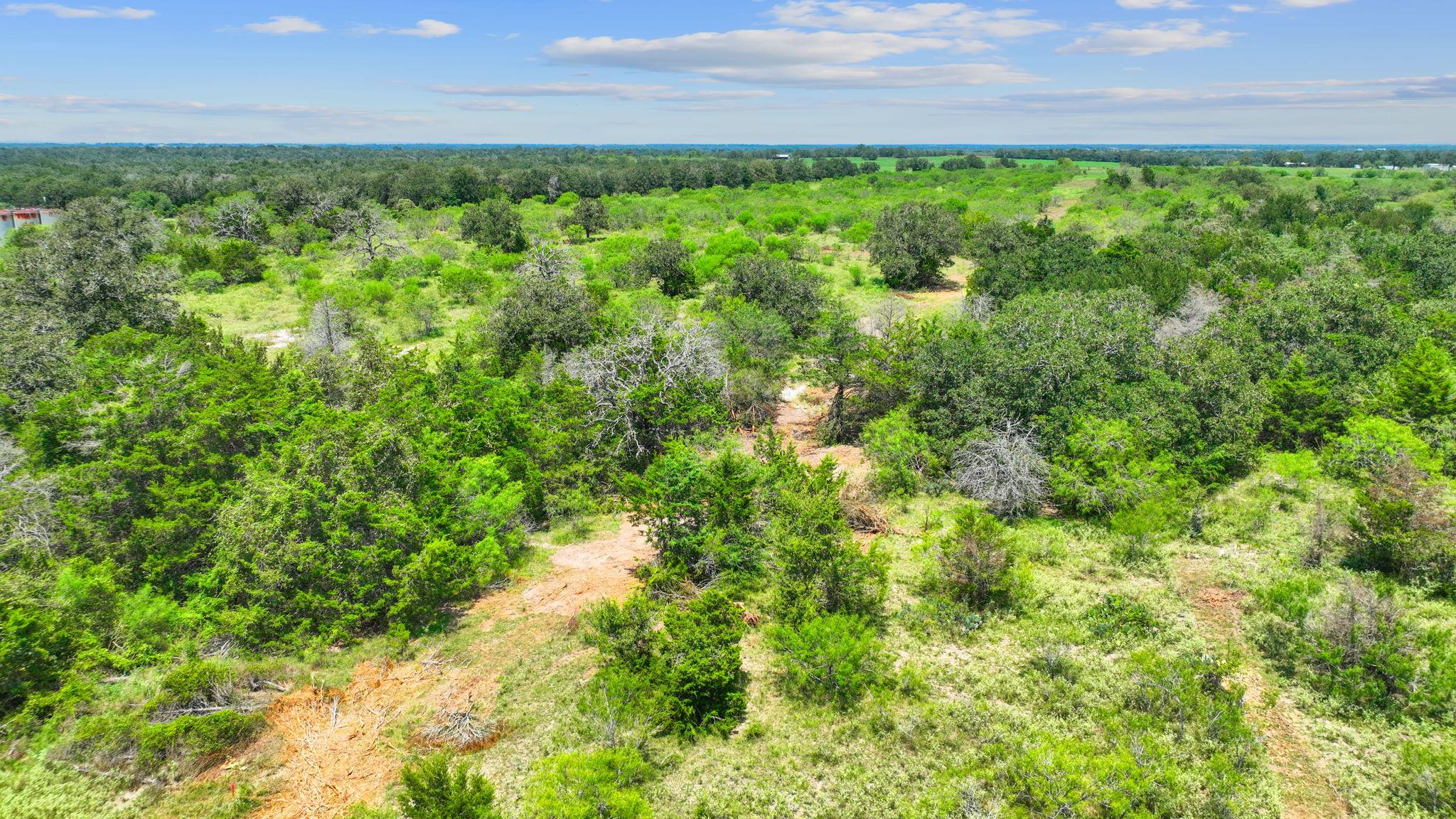 Lot 21 County Road 402, Flatonia, TX 78632