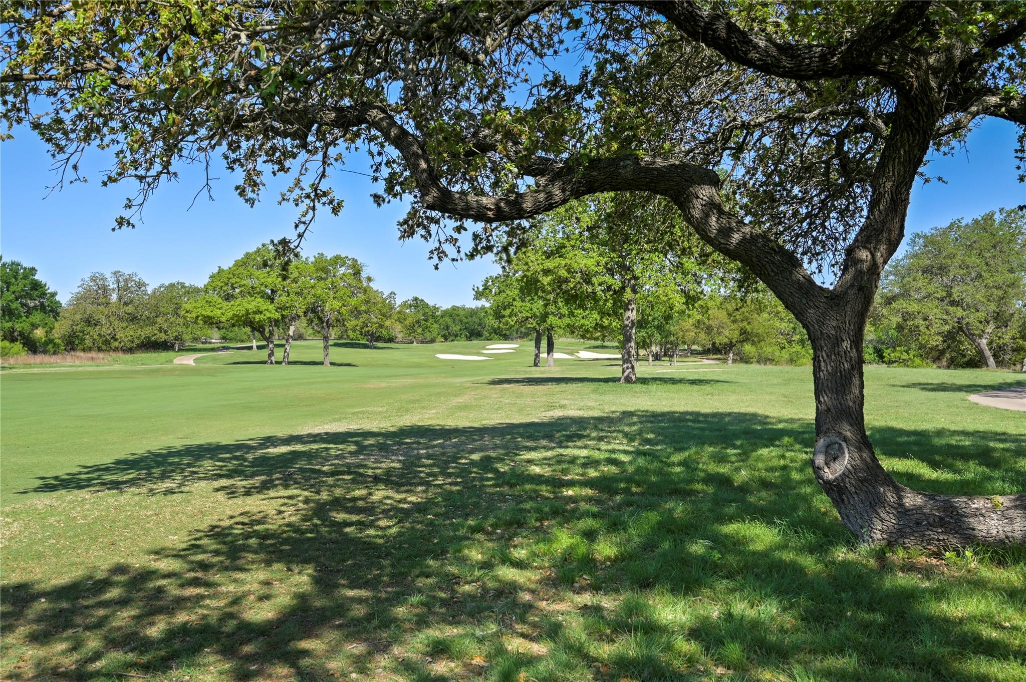 607 Flint Ridge Trl, Georgetown, TX 78628