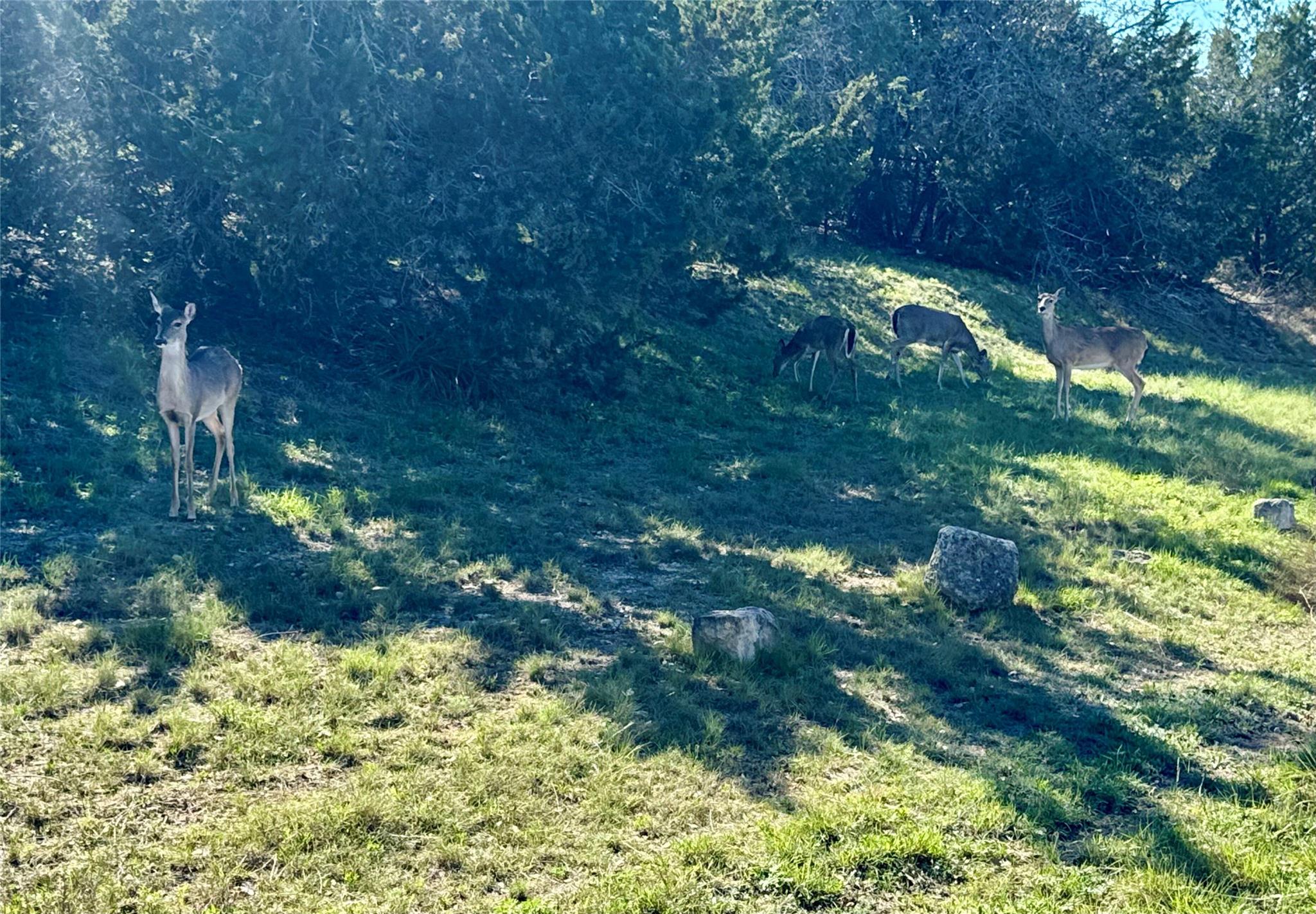 22122 Moulin Dr, Spicewood, TX 78669