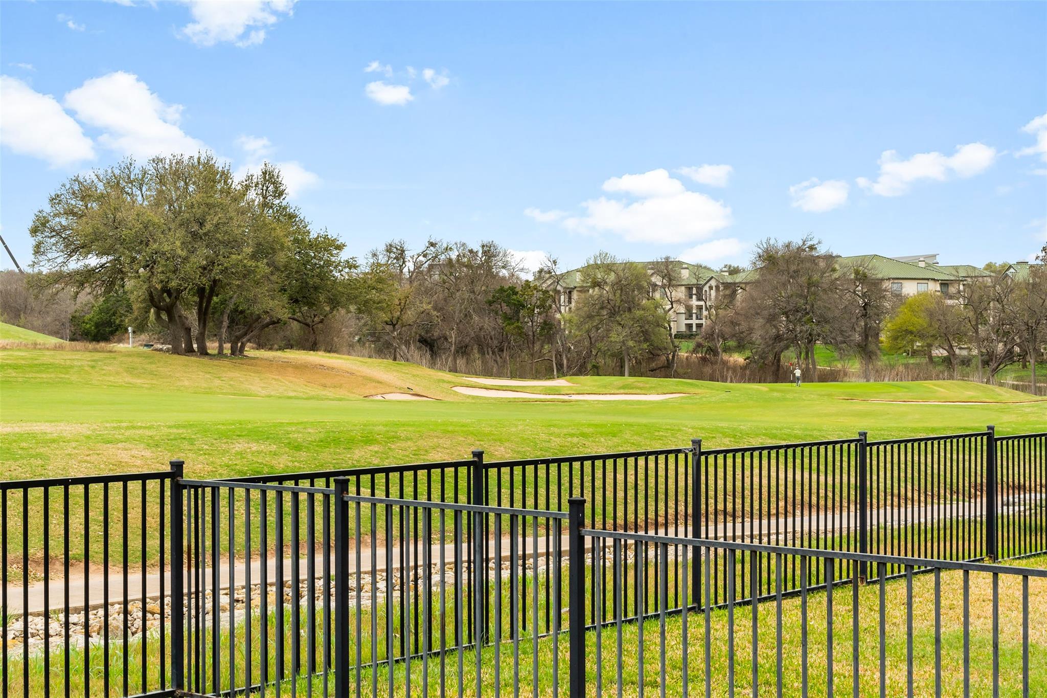 14504 Broadwinged Hawk Dr, Austin, TX 78738