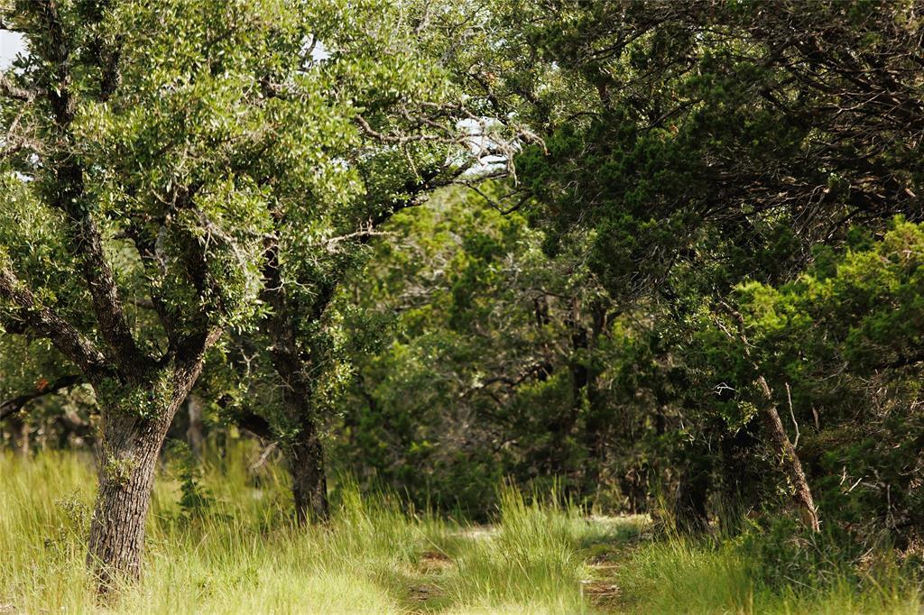 Lot 12 Ridgeway Trl, Johnson City, TX 78636