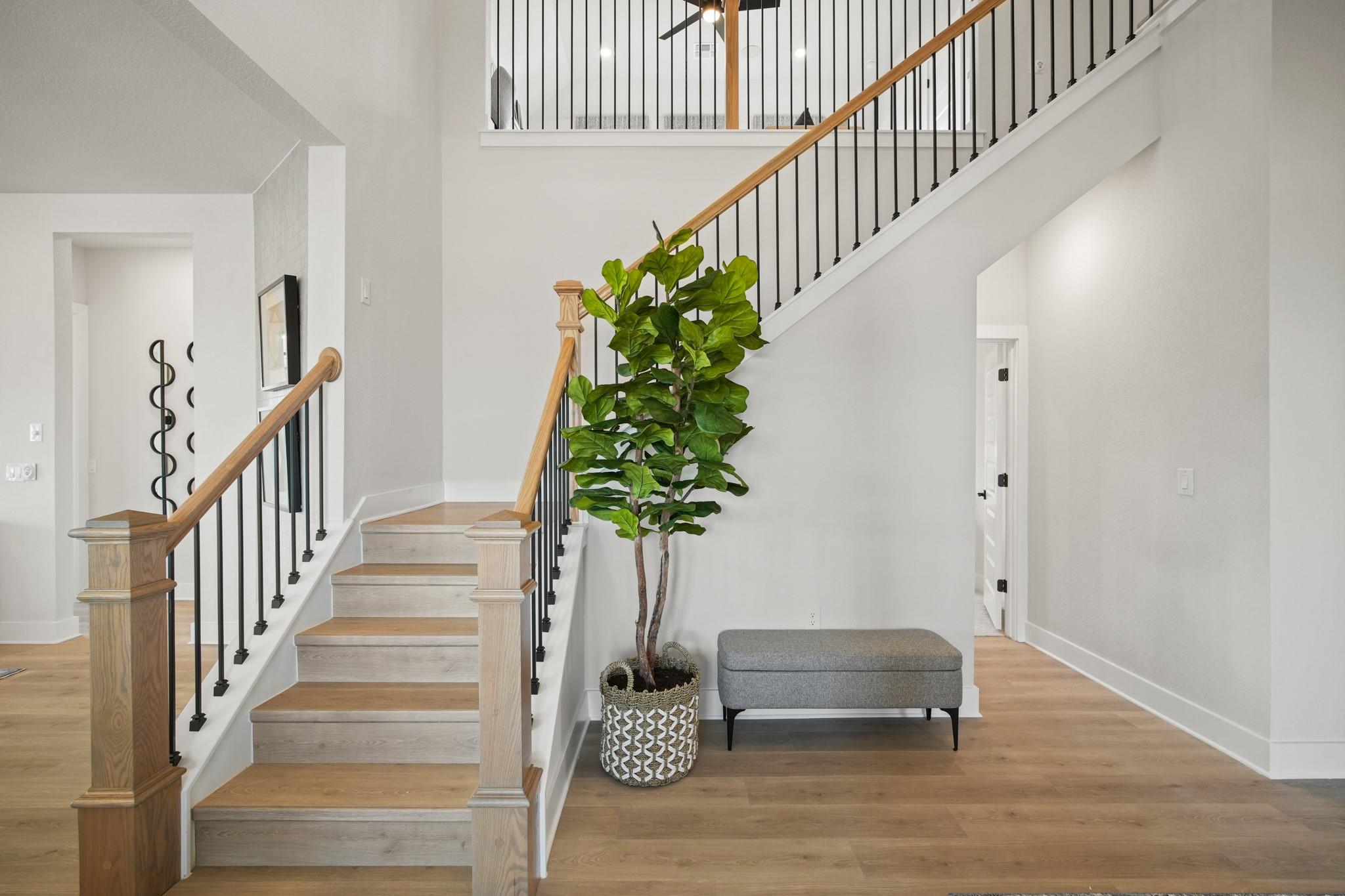 209 Missouri Primrose Ln, San Marcos, TX 78666