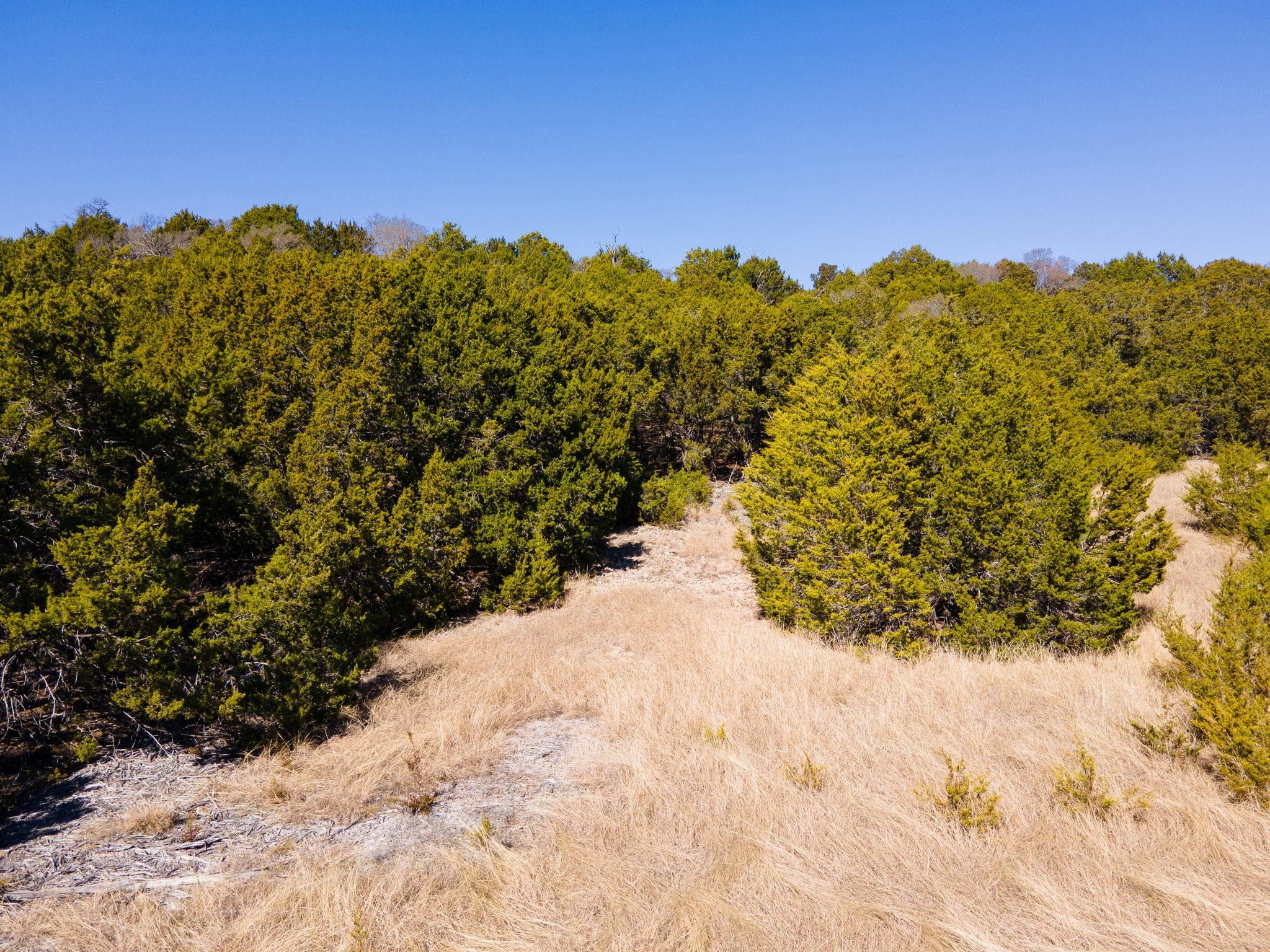 7246 PRIVATE ROAD 3804, Gatesville, TX 76528