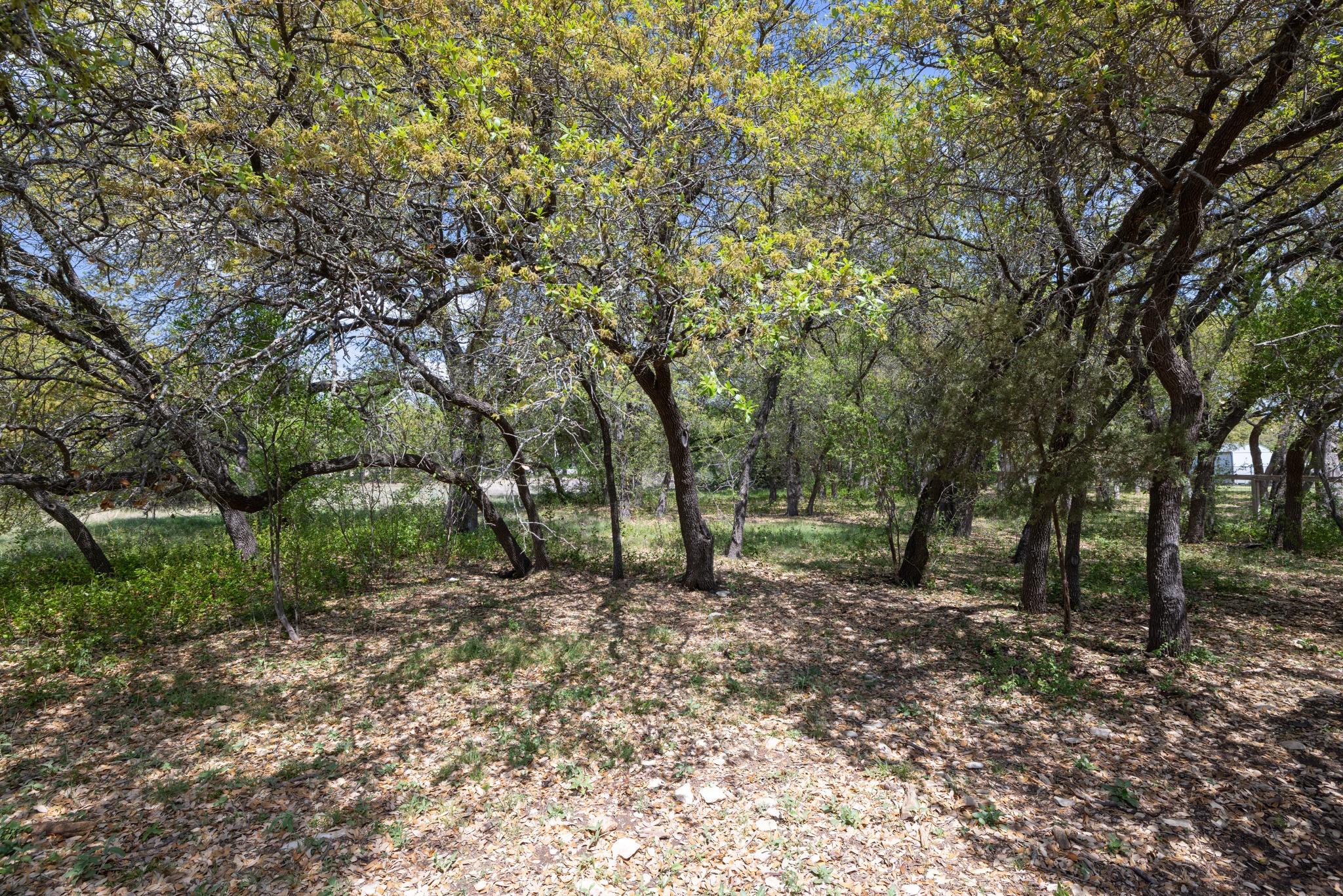 909 Highland Spring Ln, Georgetown, TX 78633