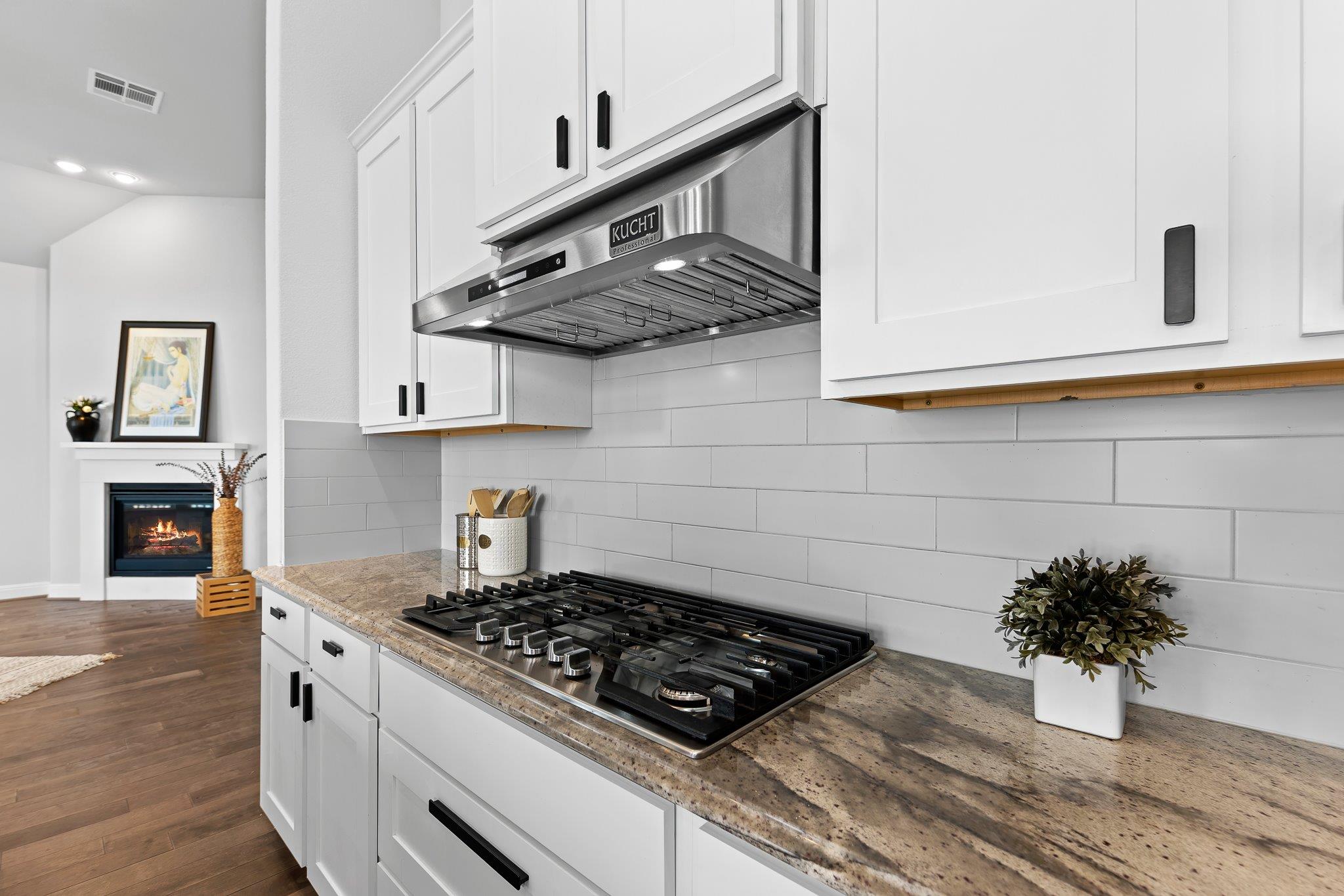 1721 Cotton Farm Trl, Leander, TX 78641