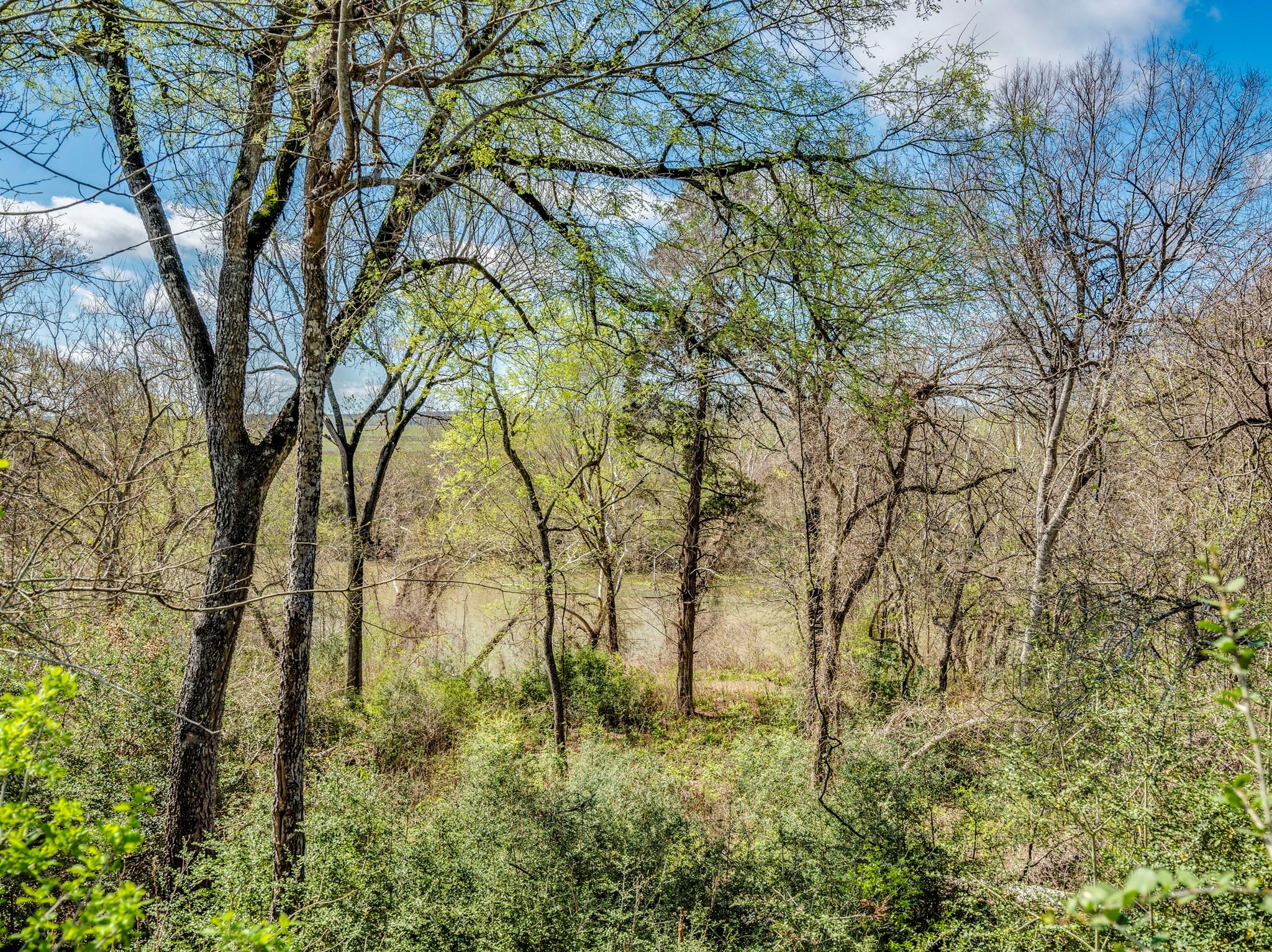 119 & 123 McCarthy Dr, Bastrop, TX 78602