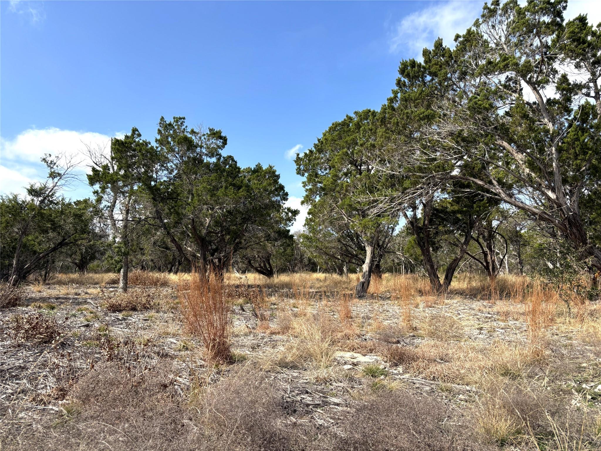 Tract 7 Burnet Oaks, Burnet, TX 78611