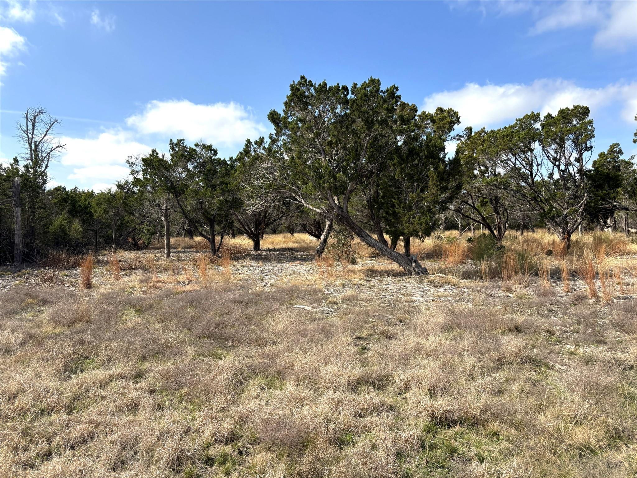 Tract 7 Burnet Oaks, Burnet, TX 78611