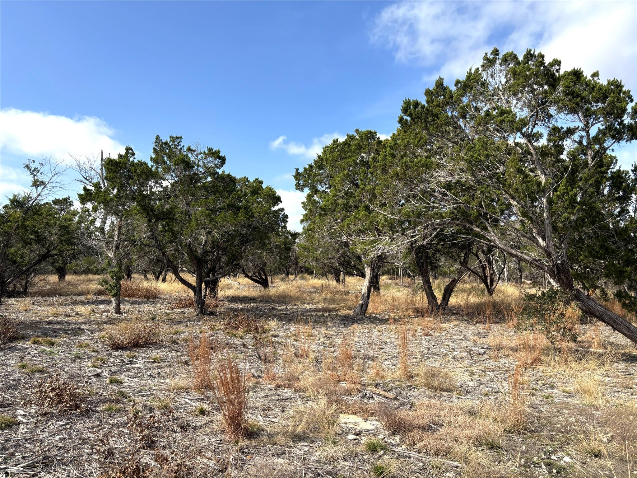 Tract 7 Burnet Oaks, Burnet, TX 78611