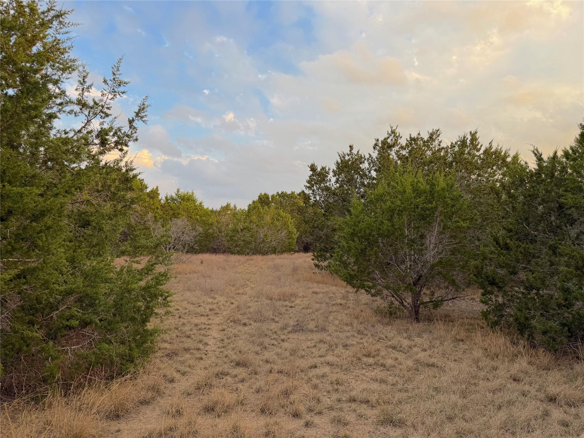 TBD FM 484, Canyon Lake, TX 78133