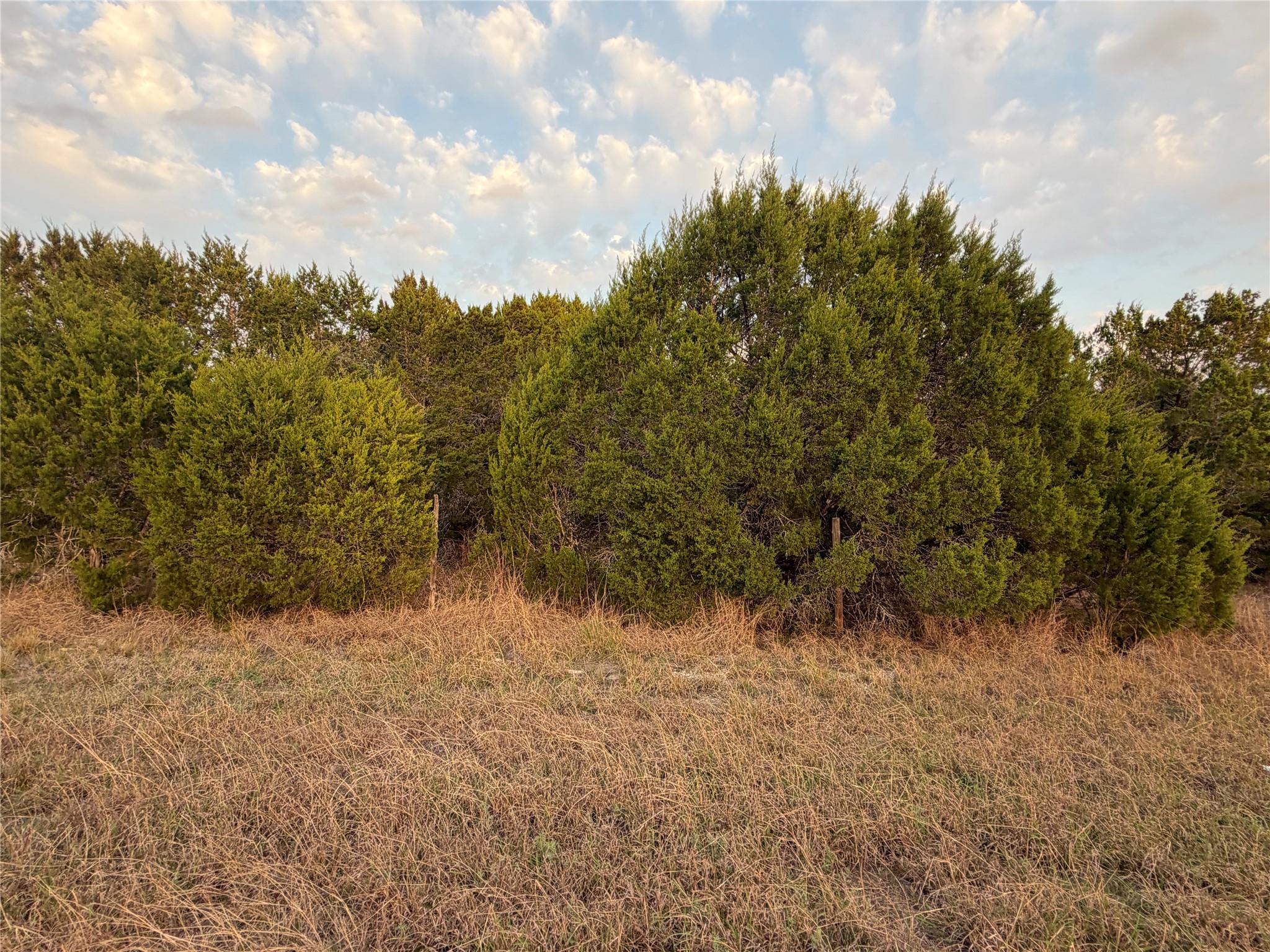 TBD FM 484, Canyon Lake, TX 78133