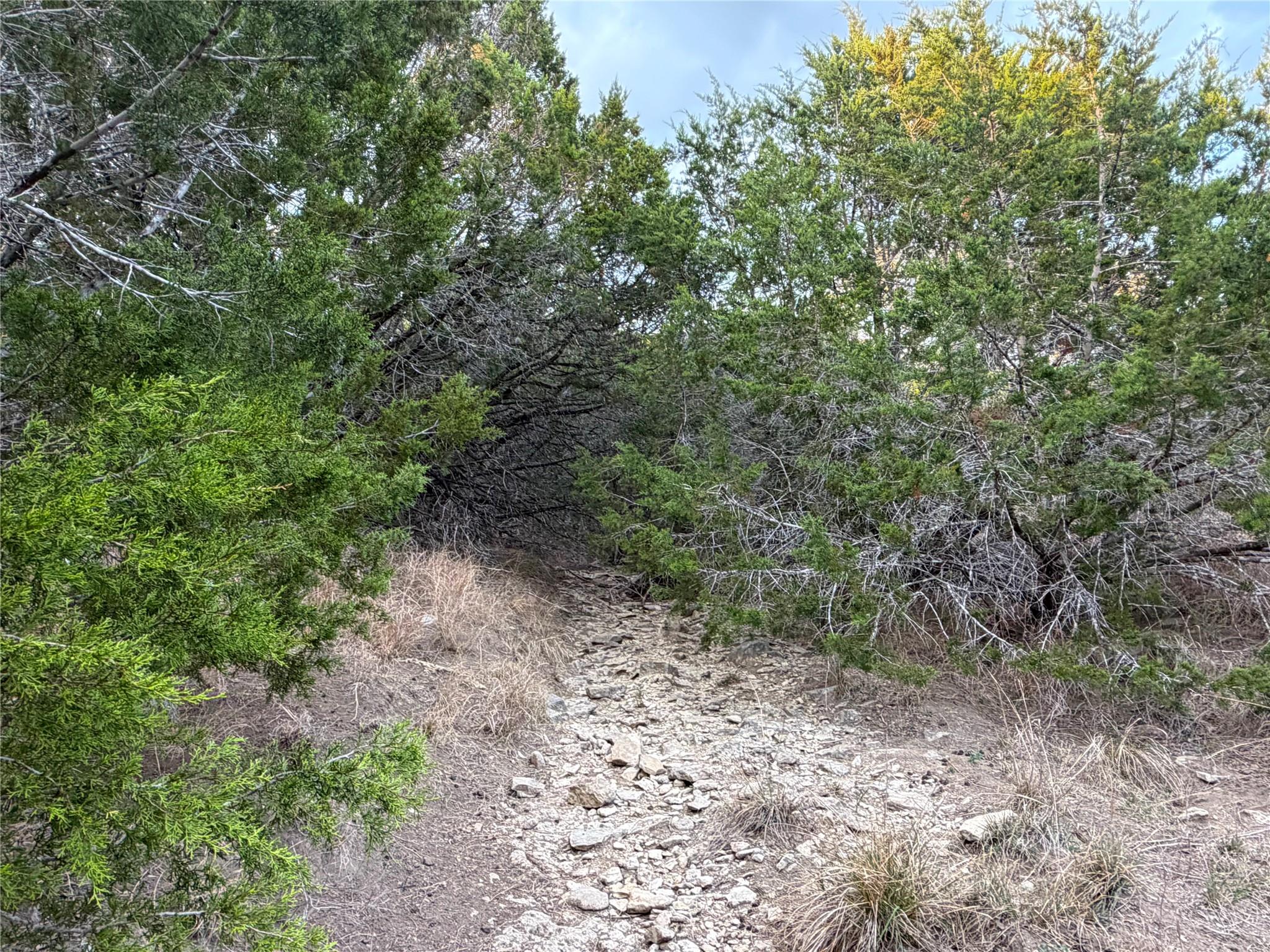 TBD FM 484, Canyon Lake, TX 78133