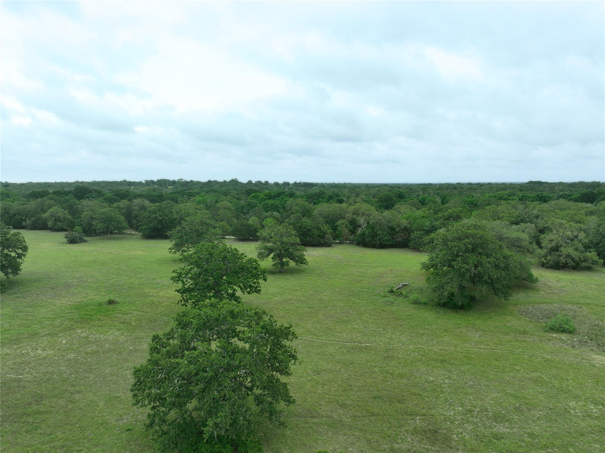 TBD Lot 3 County Road 127 Rd, Ledbetter, TX 78946