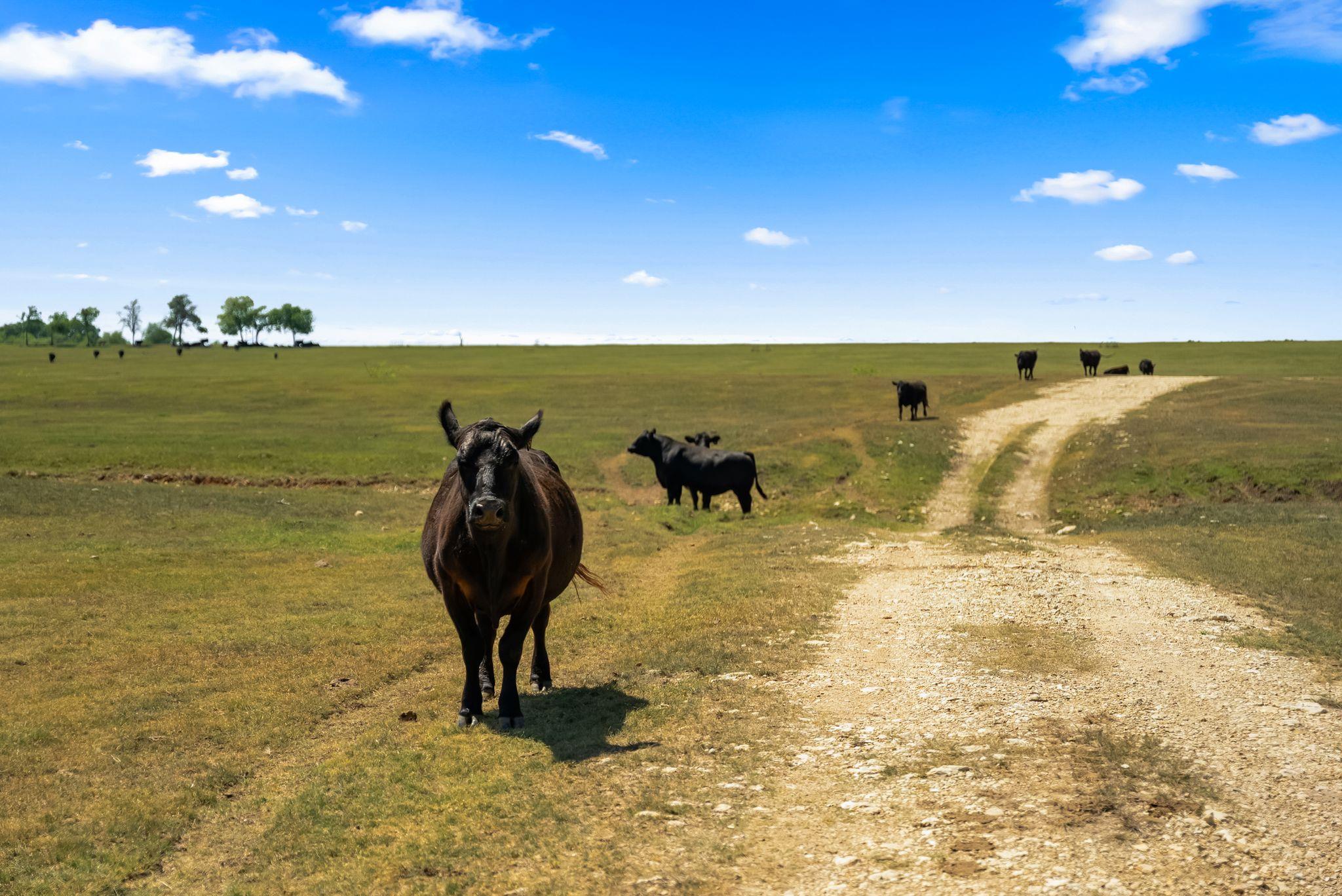 0000 Solana Ranch Rd, Salado, TX 76571