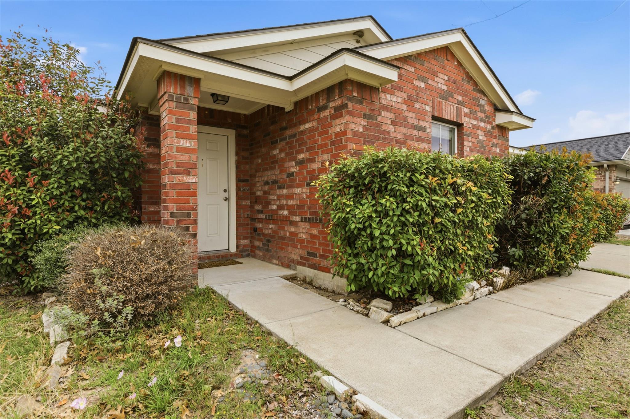 13316 Forest Sage St, Manor, TX 78653