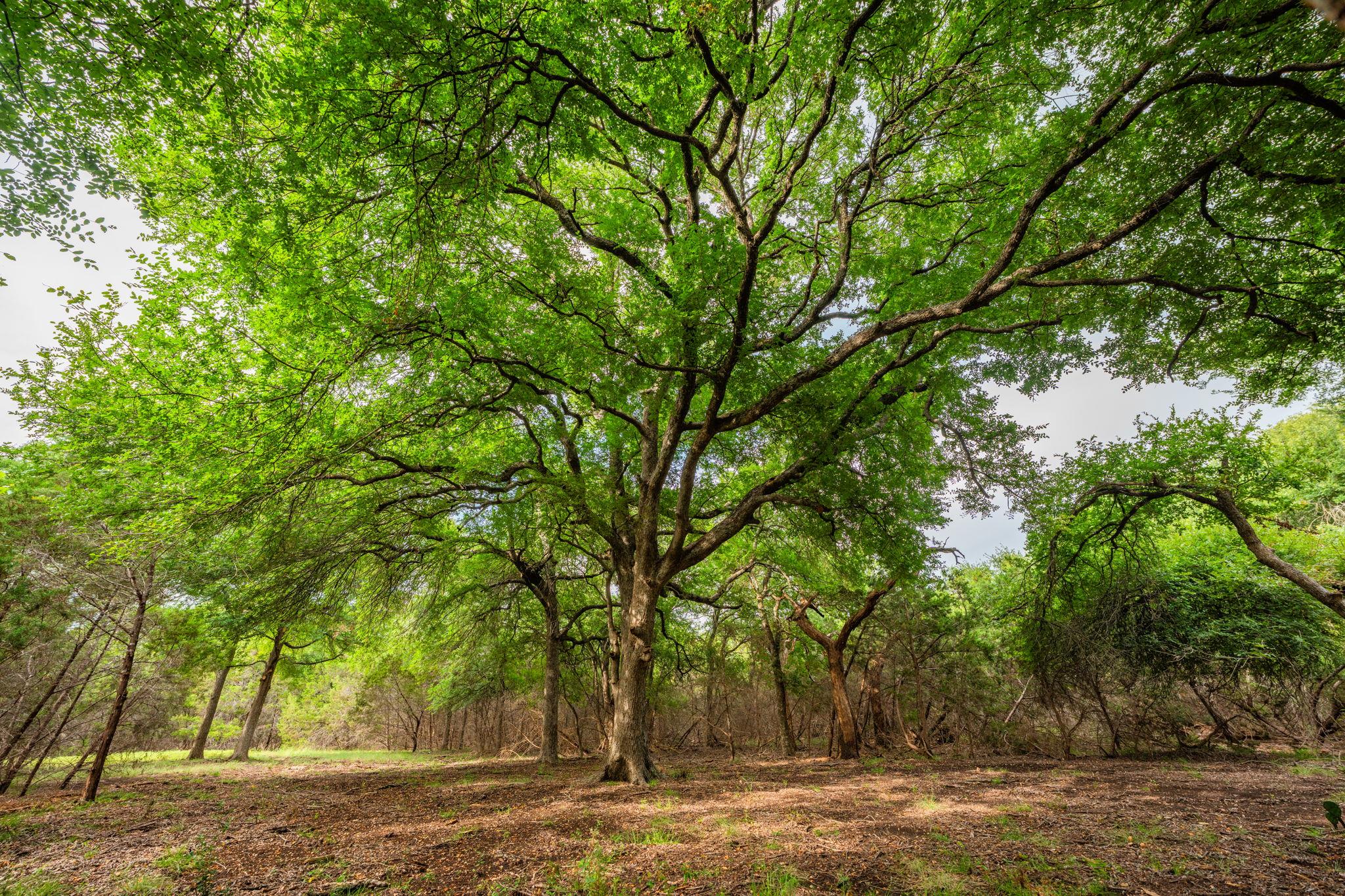 00 County Rd 284, Liberty Hill, TX 78642