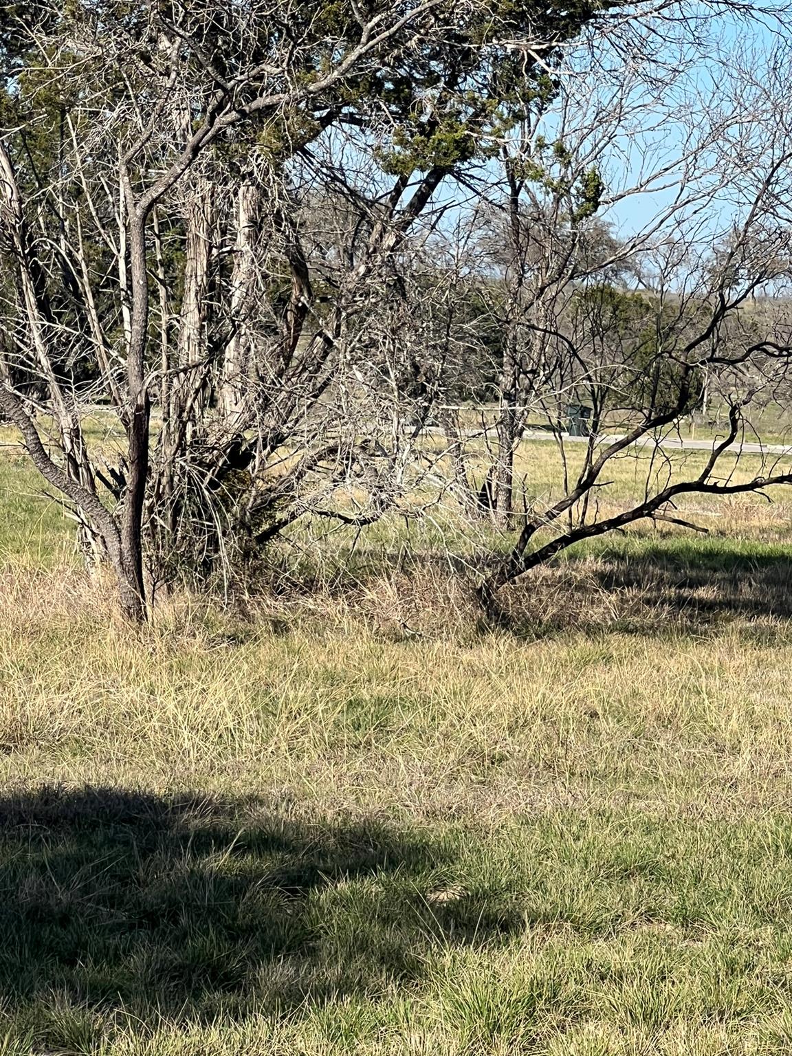 0 Cr 421 Rd, Spicewood, TX 78669