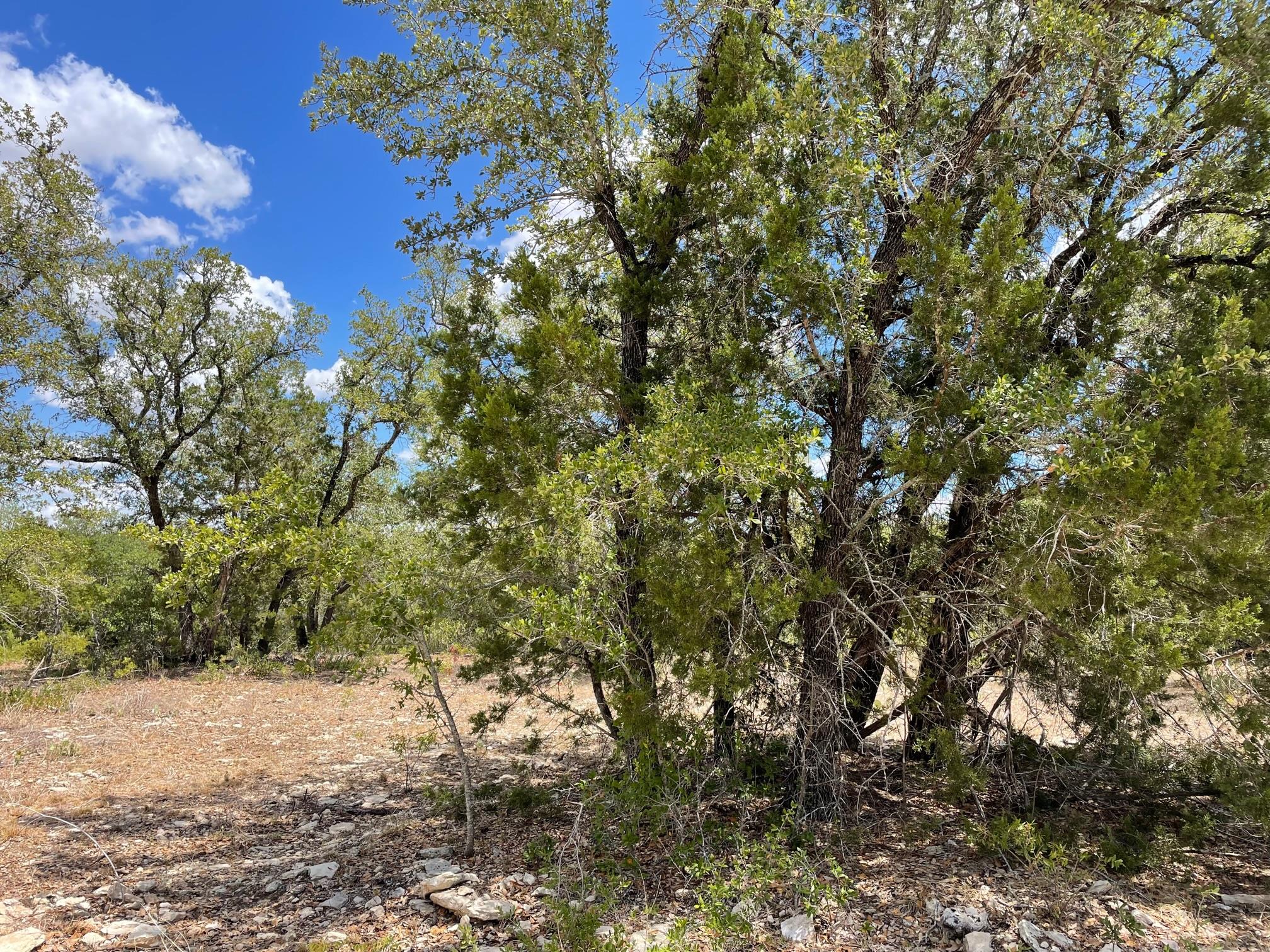 TBD 183 Highway, Lampasas, TX 76550