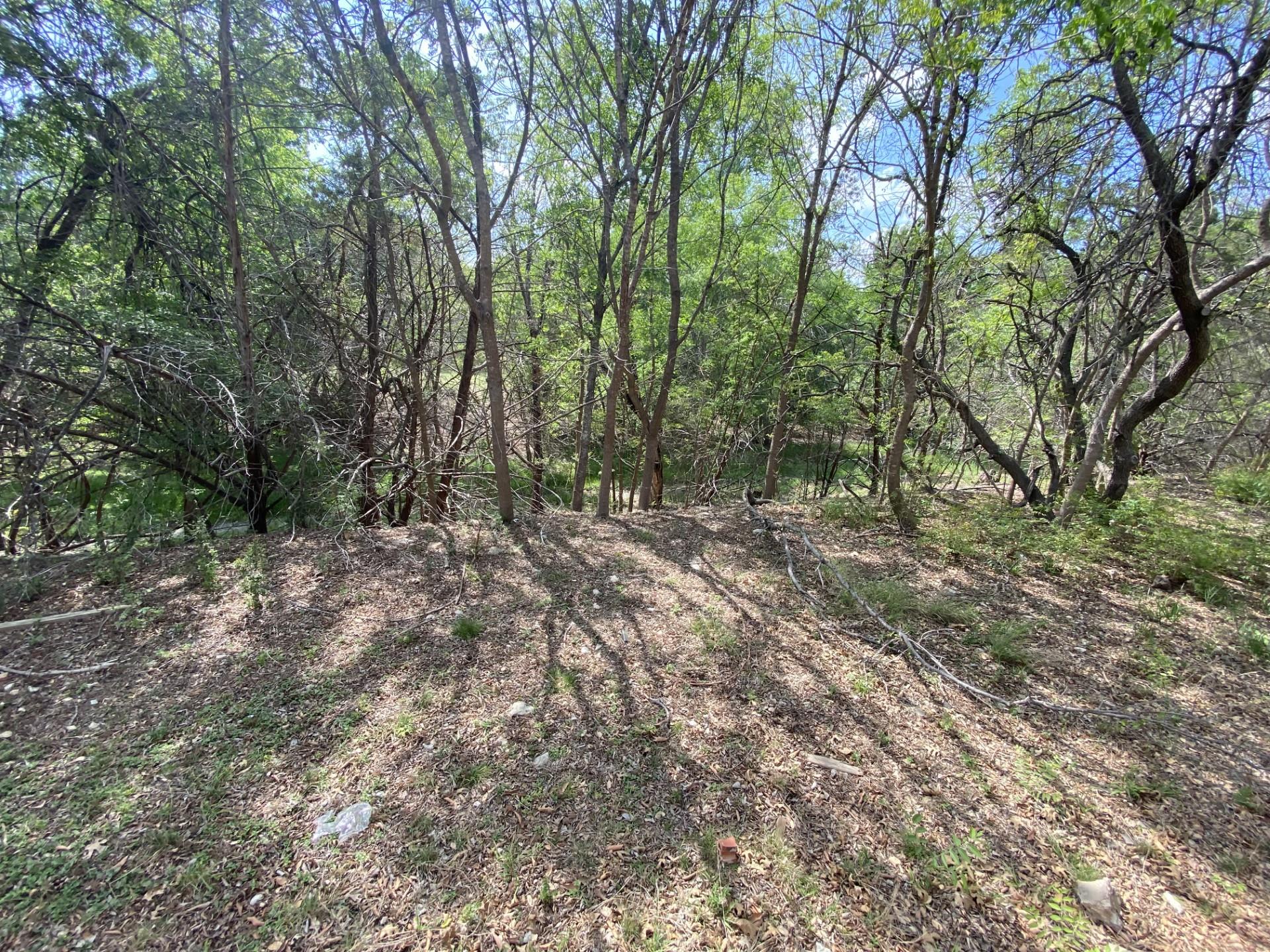 16318 Spotted Eagle Dr, Leander, TX 78641