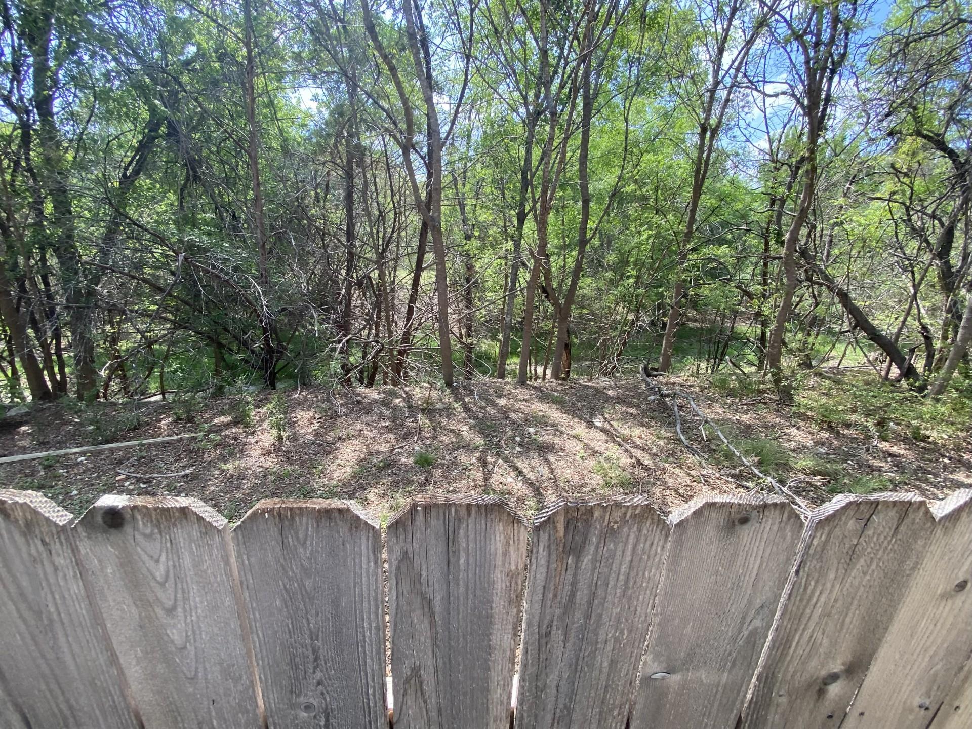 16318 Spotted Eagle Dr, Leander, TX 78641