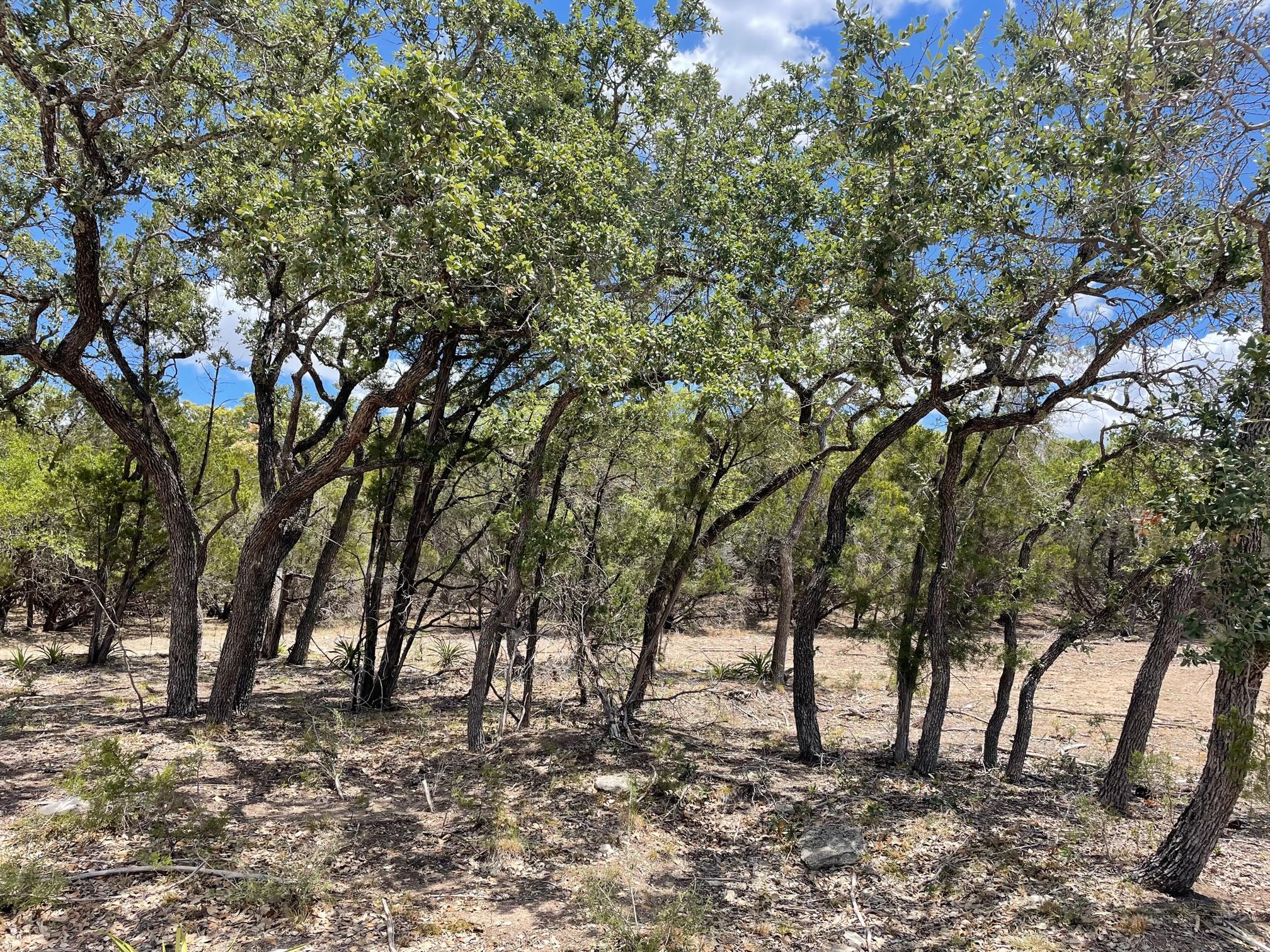 TBD HWY 183 TBD HWY 183 Highway, Lampasas, TX 76550