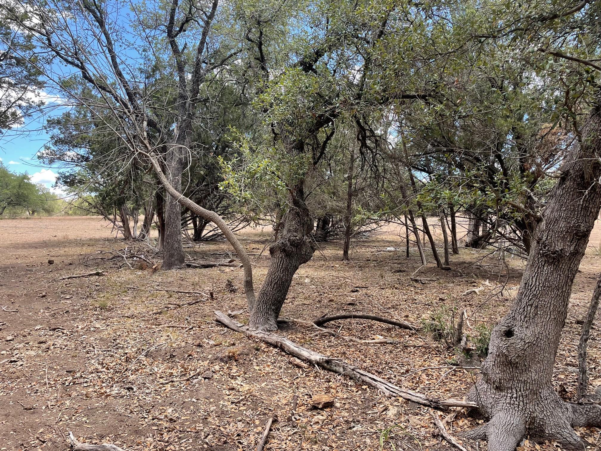 TBD HWY 183 TBD HWY 183 Highway, Lampasas, TX 76550