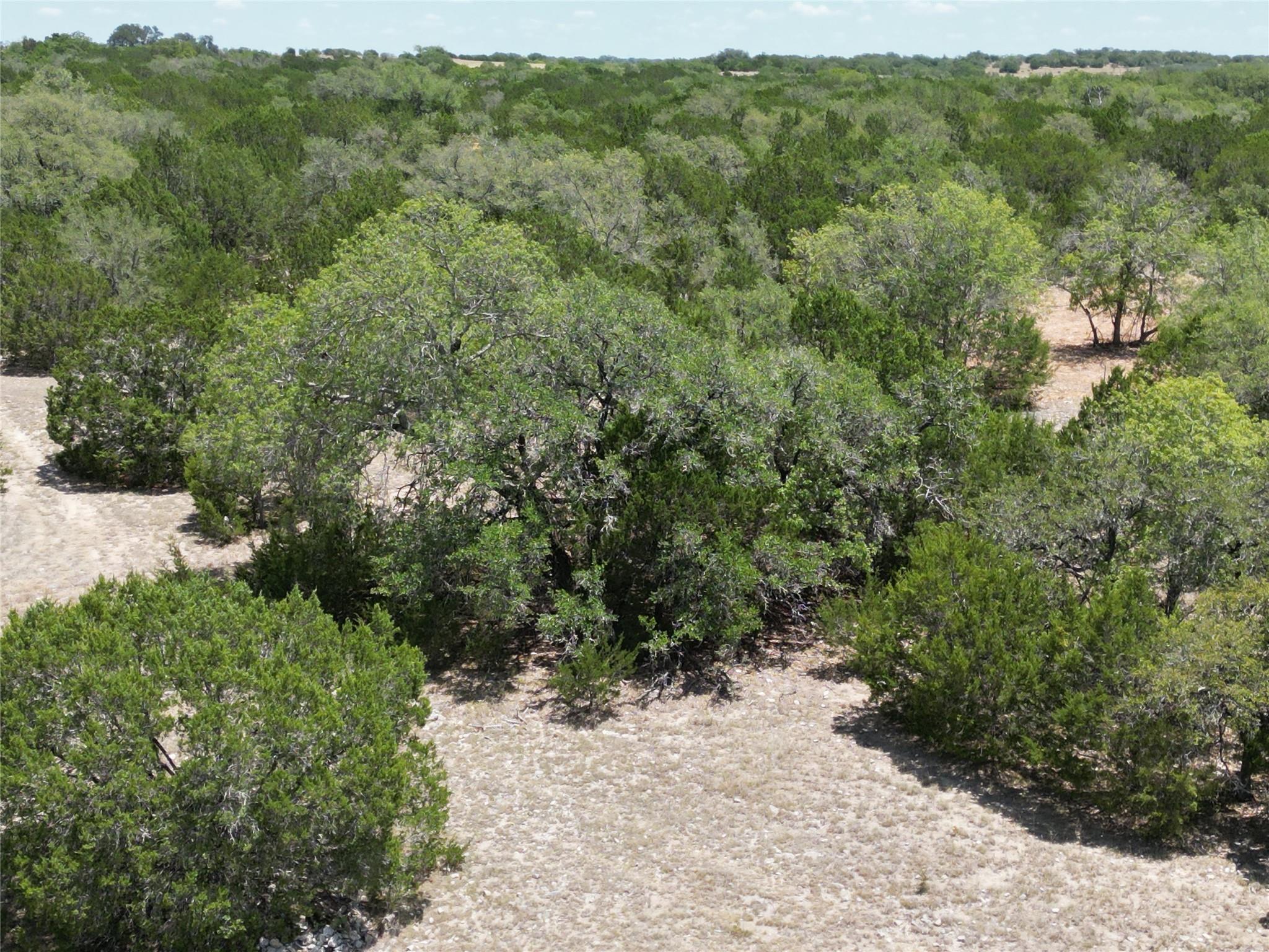 TBD HWY 183 TBD HWY 183 Highway, Lampasas, TX 76550