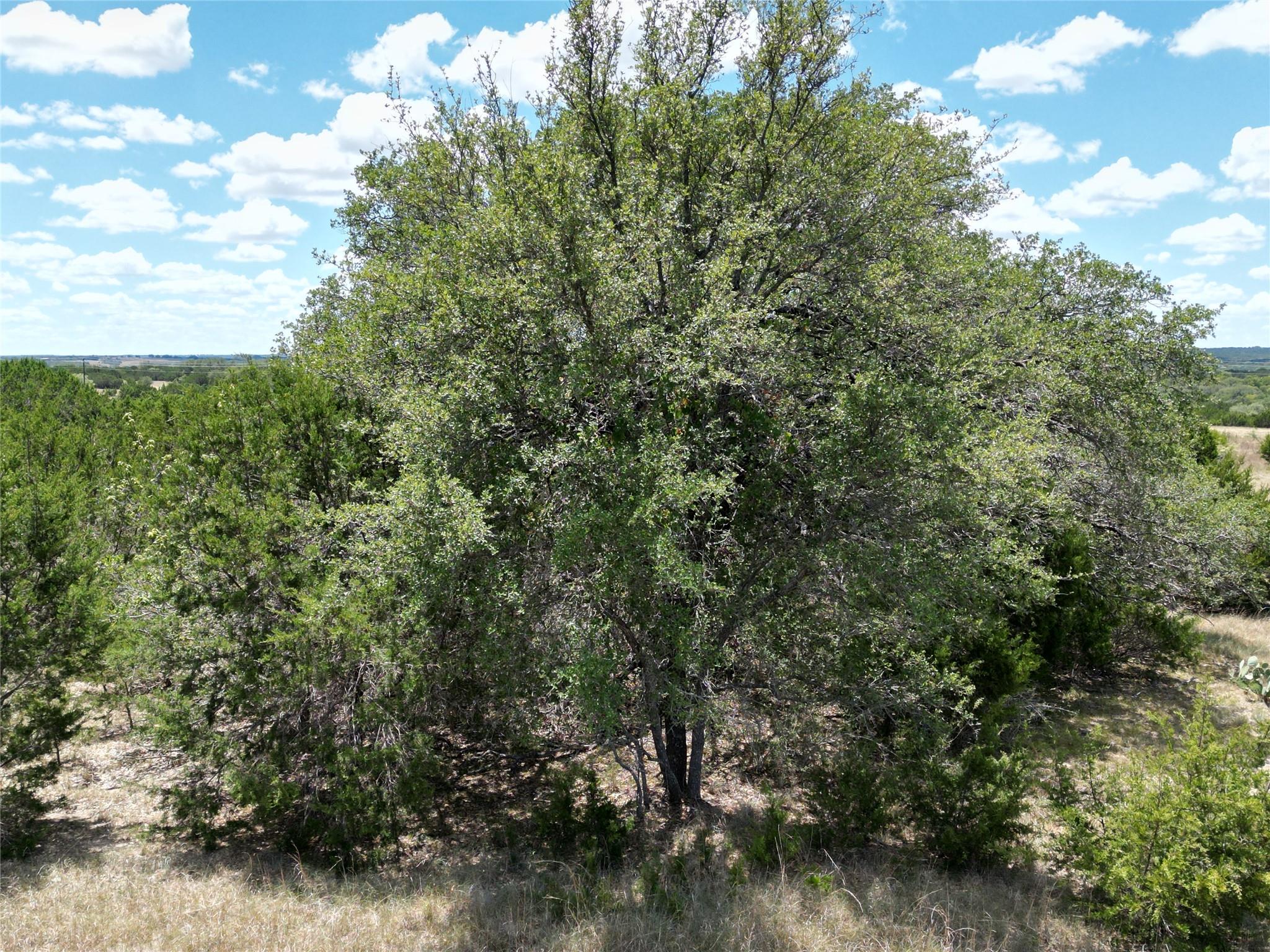 TBD HWY 183 TBD HWY 183 Highway, Lampasas, TX 76550