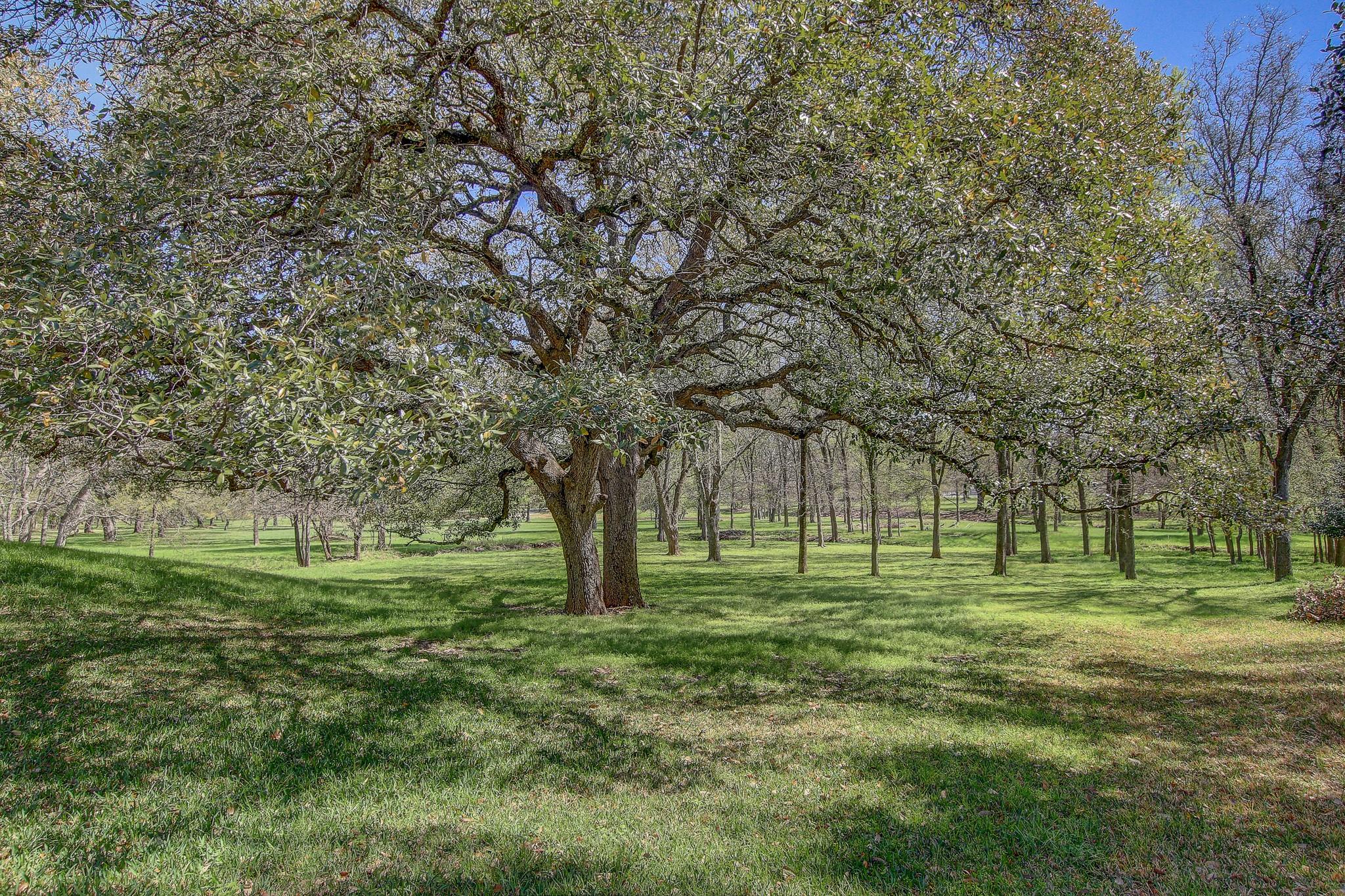 200 Carriage House Rd, Salado, TX 76571