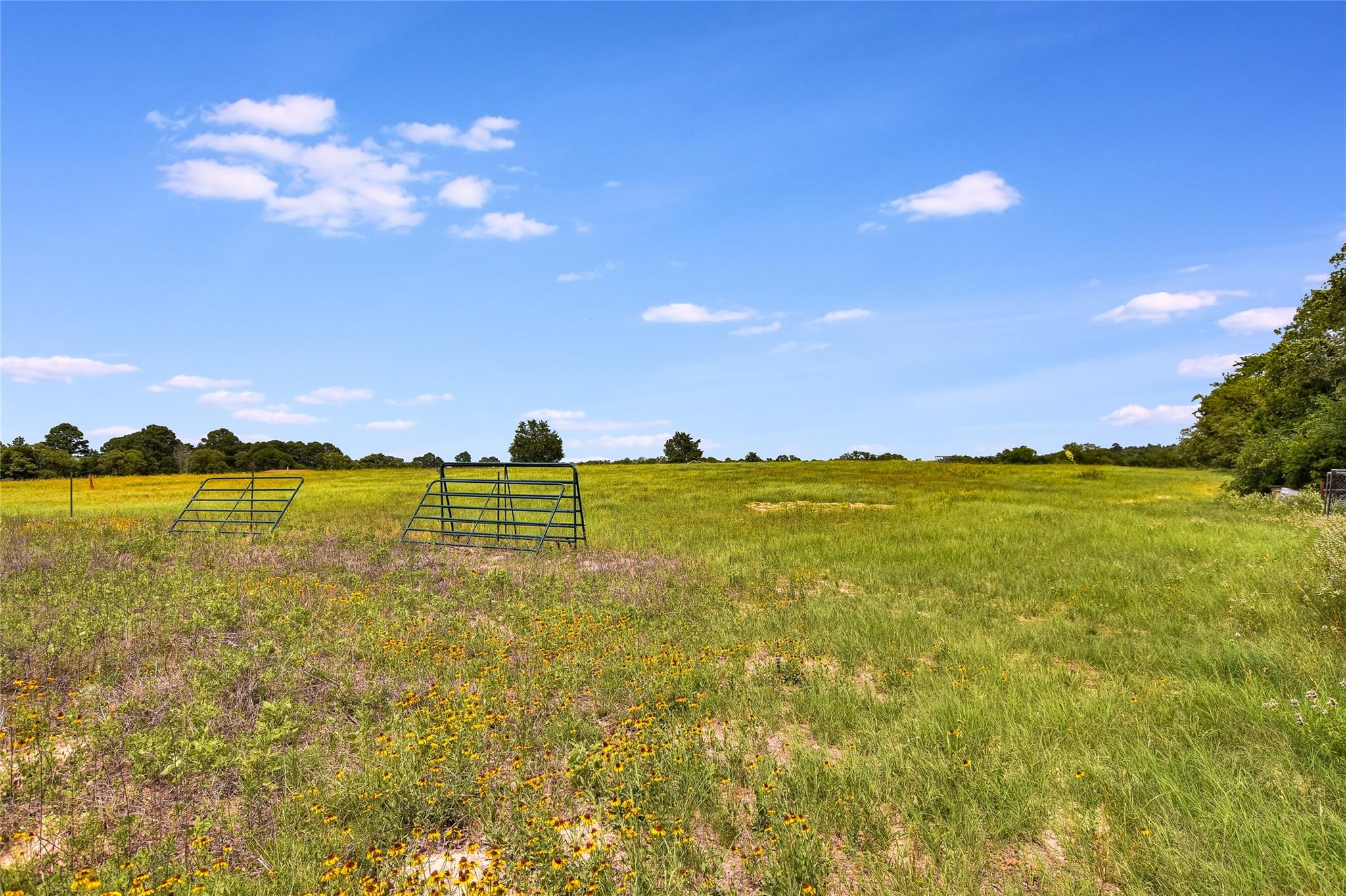 2187 Highway 290 E, McDade, TX 78650