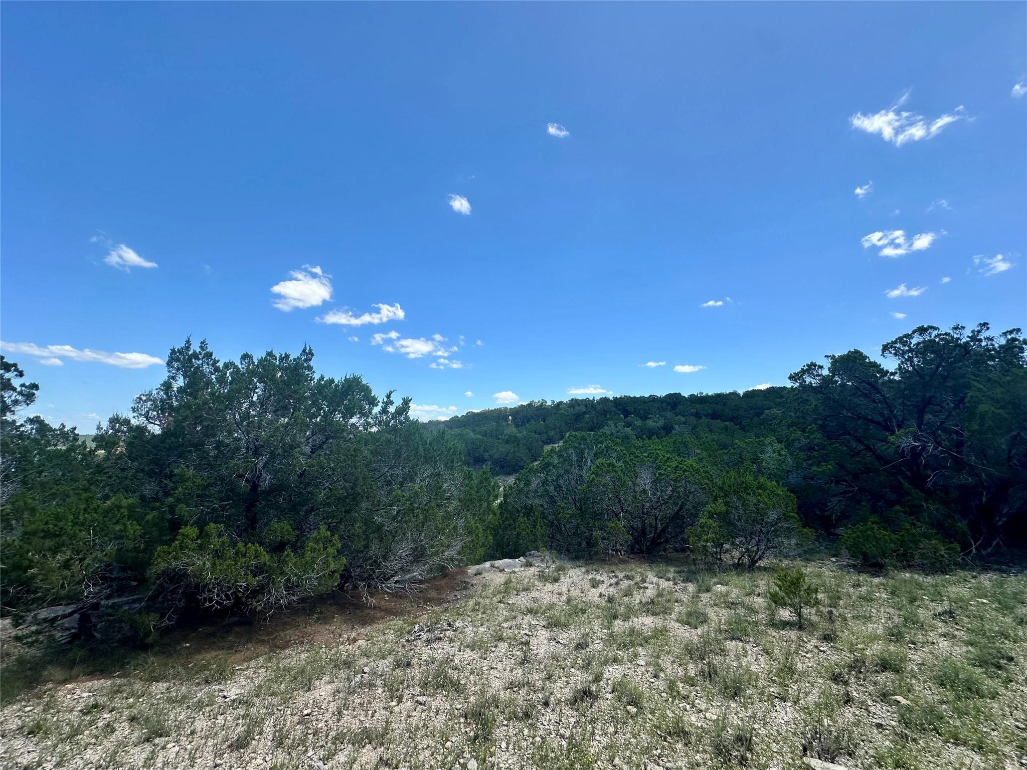 105 N Angel Light Dr, Spicewood, TX 78669