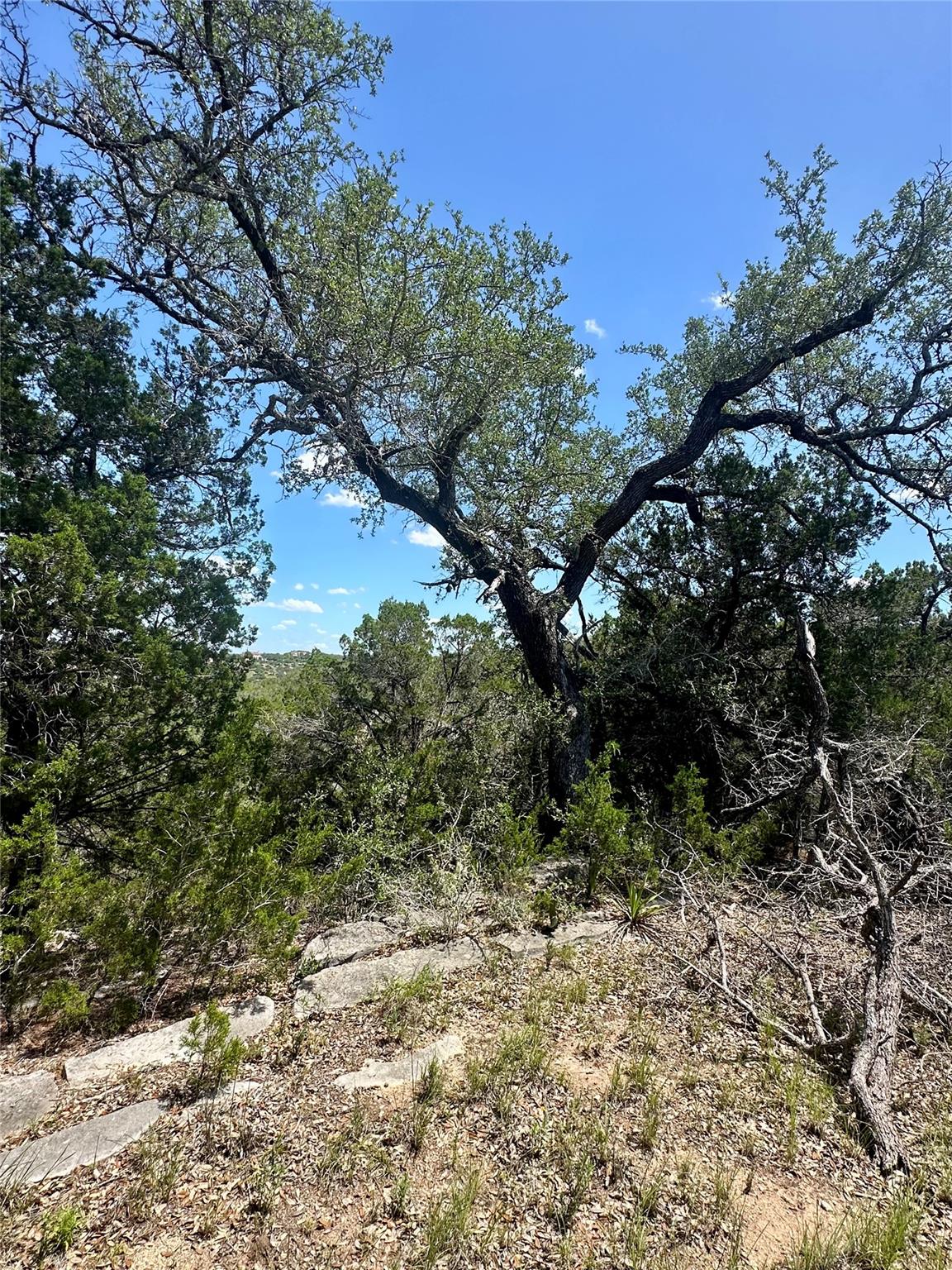 105 N Angel Light Dr, Spicewood, TX 78669