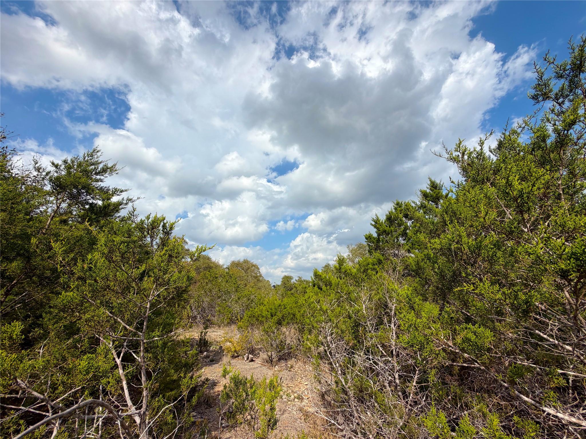 1447 Carson Crk, Canyon Lake, TX 78133