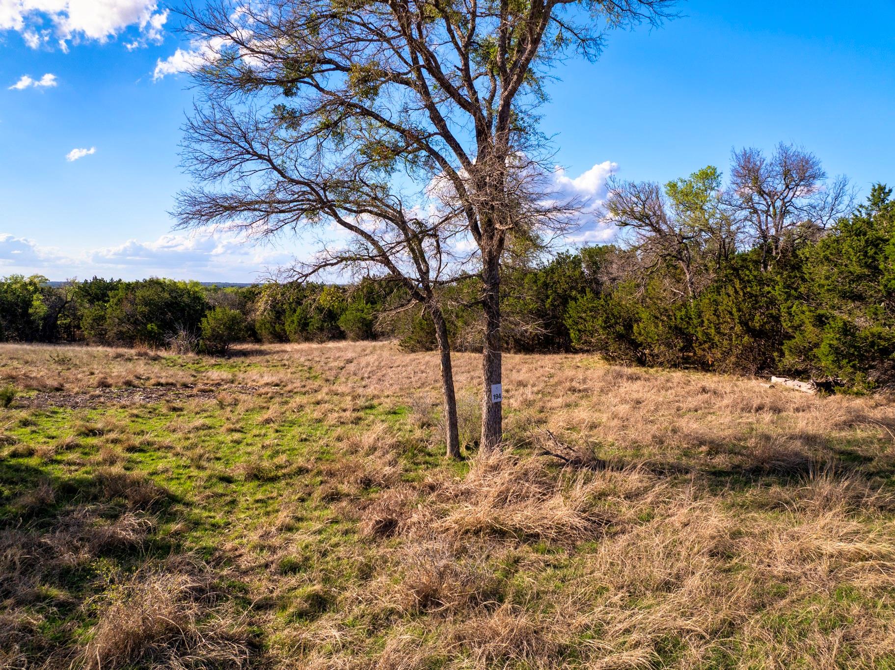 Lot 194 Private Road 4718, Kempner, TX 76539