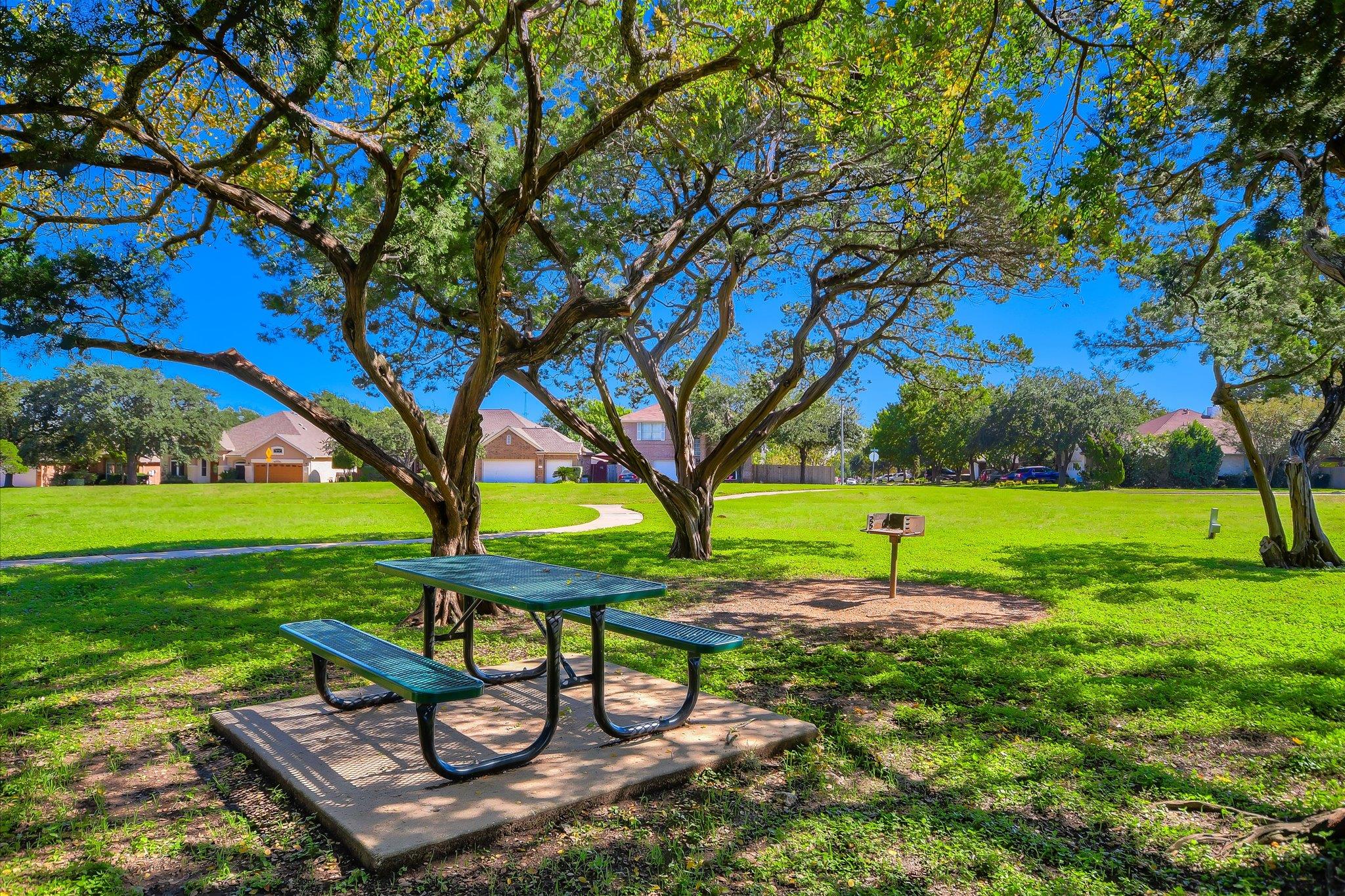 16601 Cordillera Dr, Round Rock, TX 78681