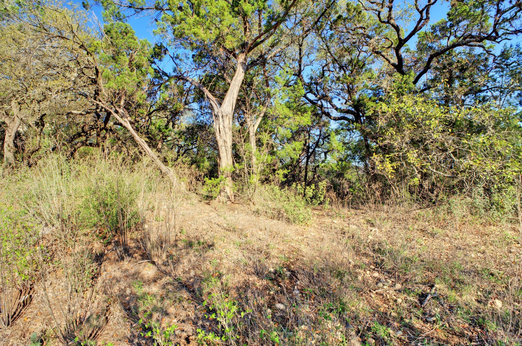 2904 Regents Park, Austin, TX 78746