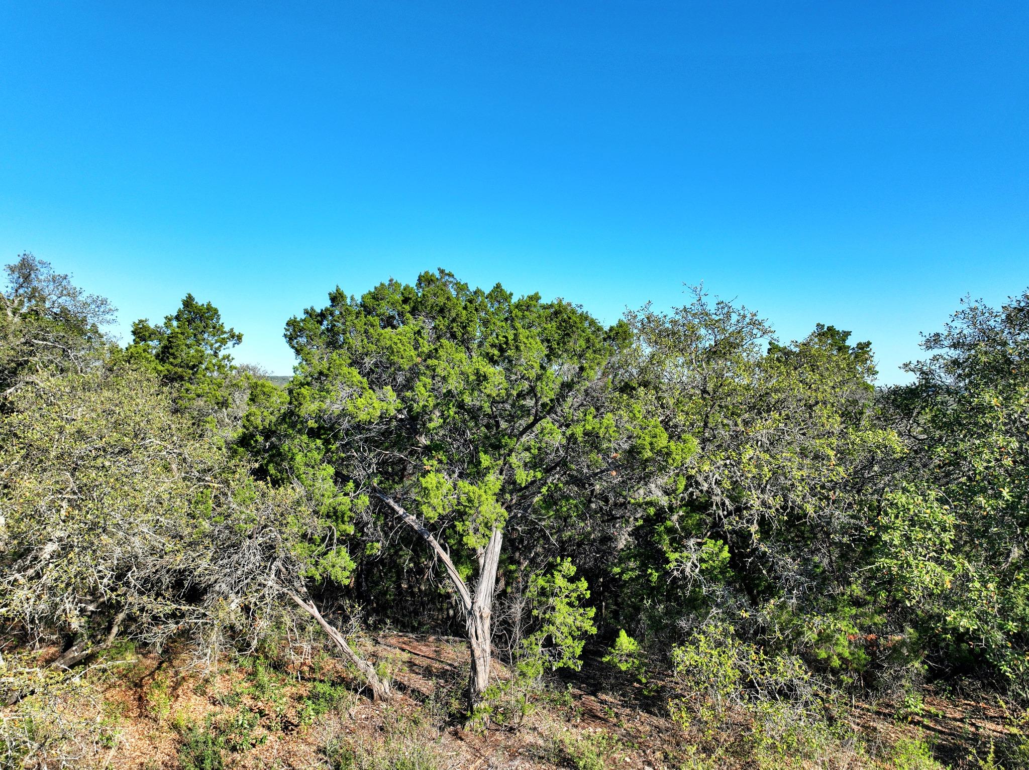 2904 Regents Park, Austin, TX 78746