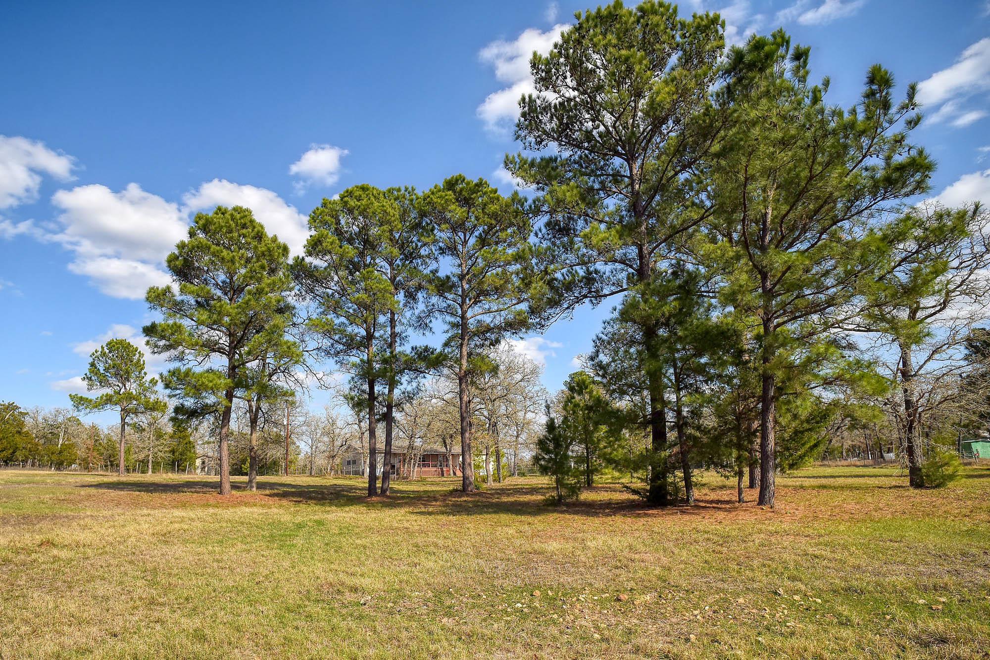 552 S Old Potato Rd, Paige, TX 78659