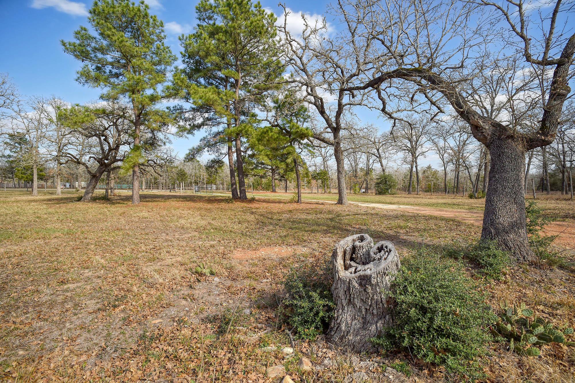 552 S Old Potato Rd, Paige, TX 78659